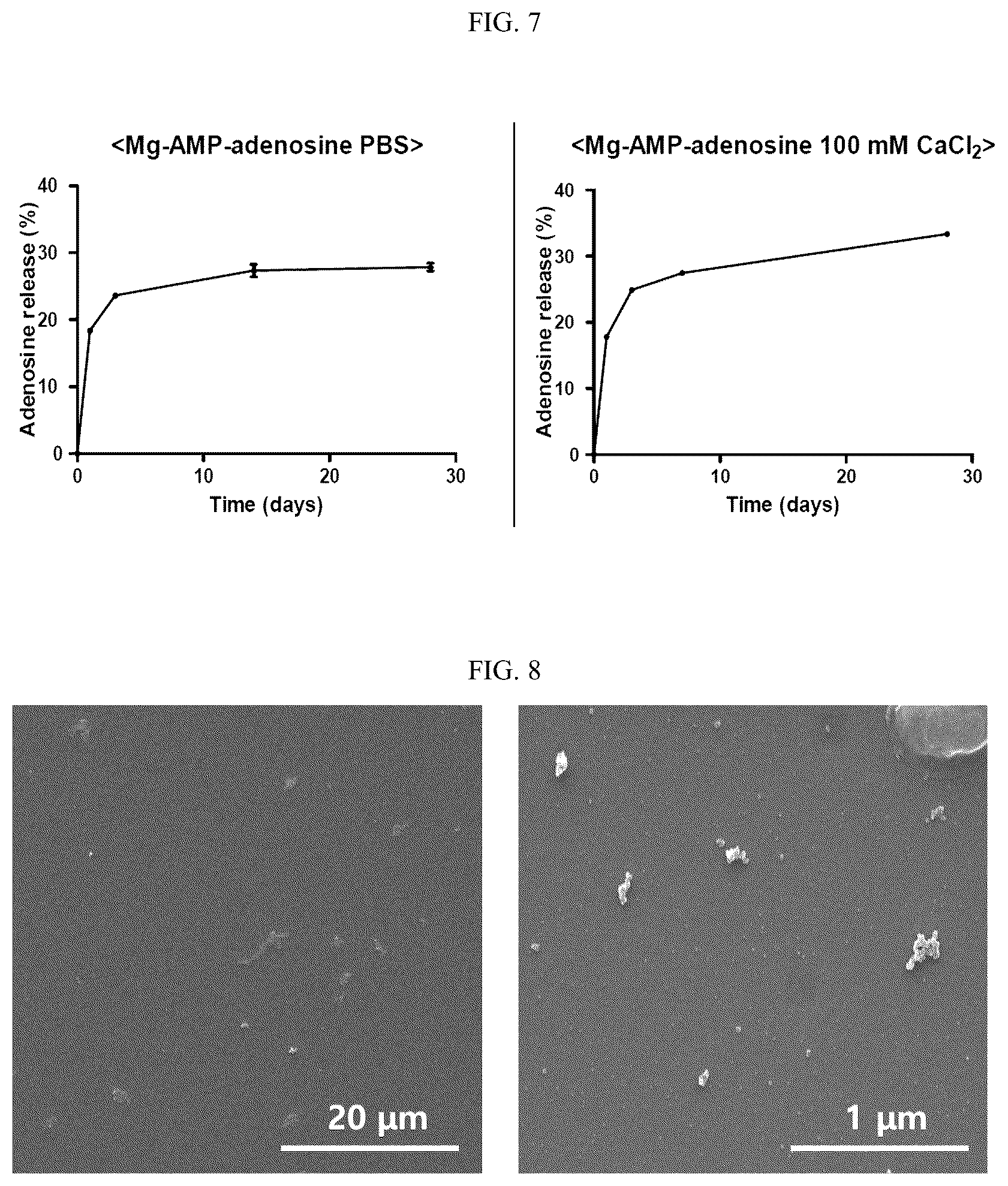 Patent US12303565 Figure 5 – Self-assembled complex containing magnesium ion
