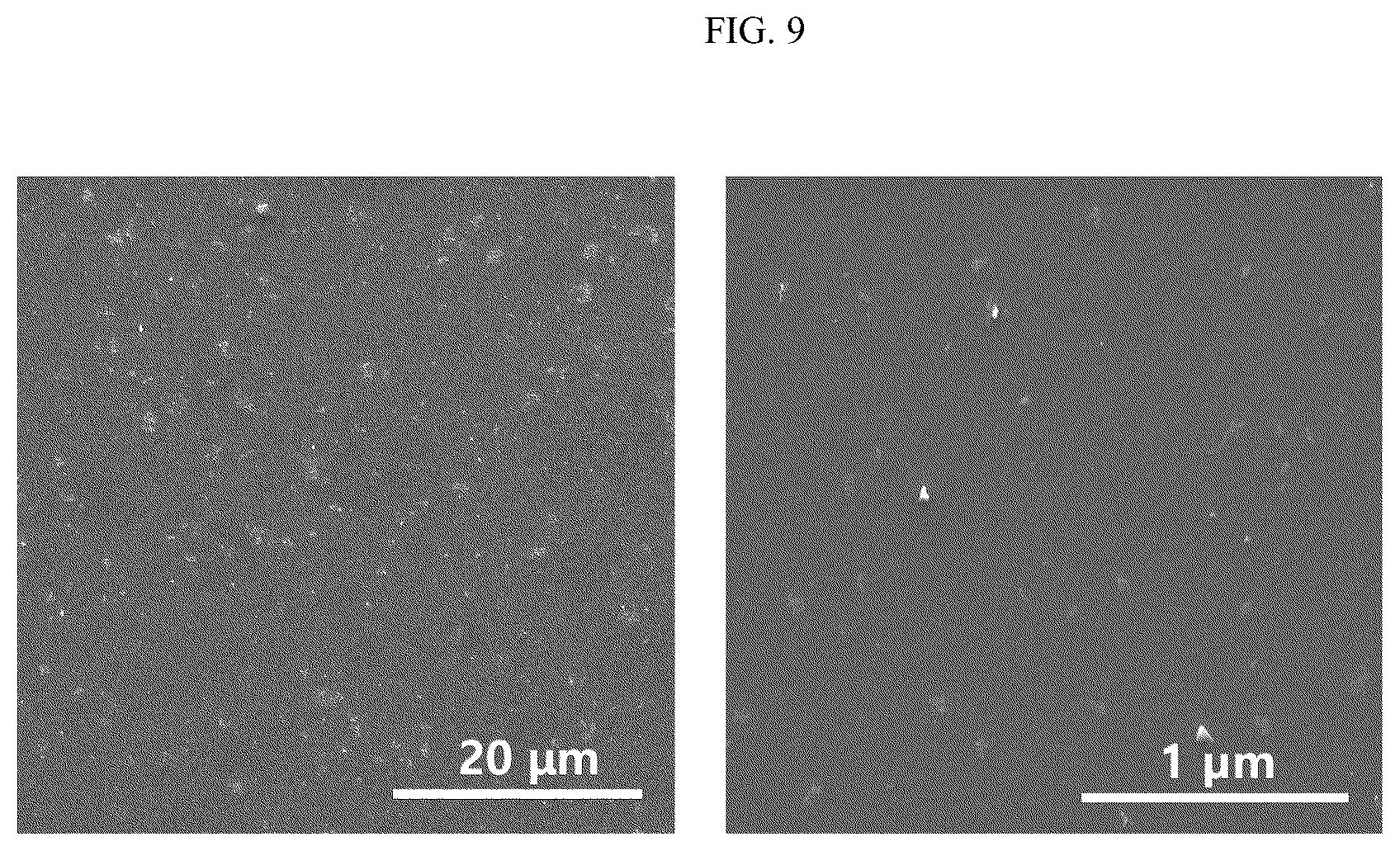 Patent US12303565 Figure 6 – Self-assembled complex containing magnesium ion