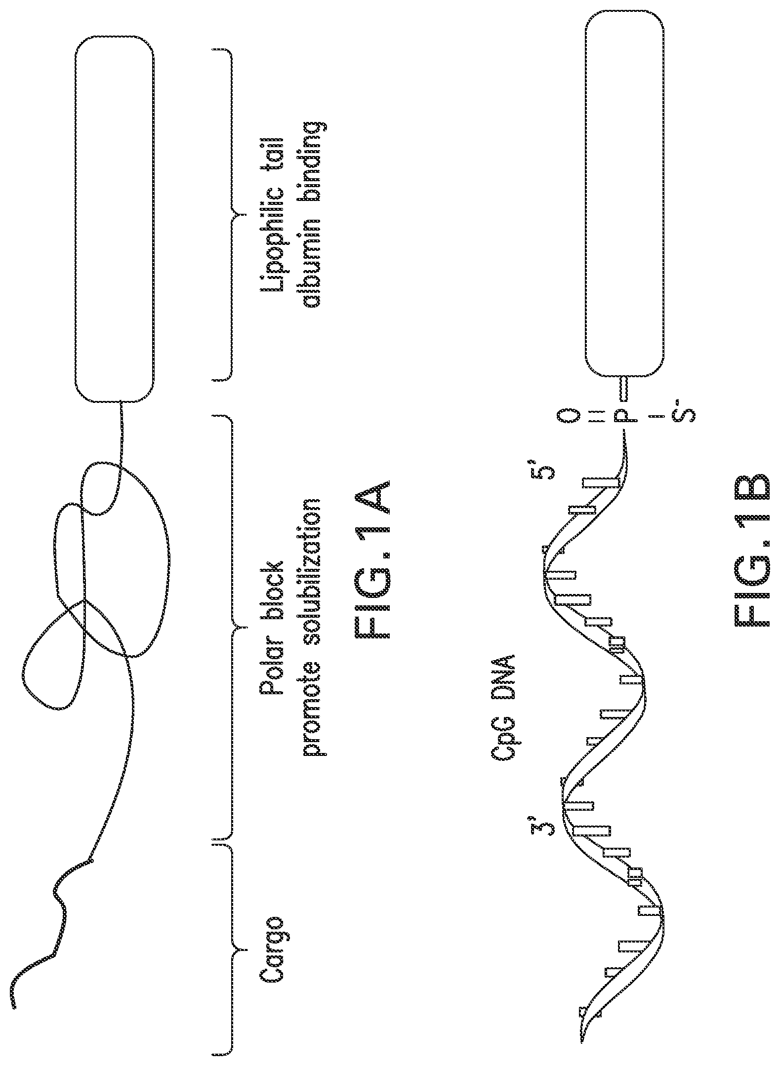 Patent US12303566 Figure 1 – Immunostimulatory compositions and methods of use thereof