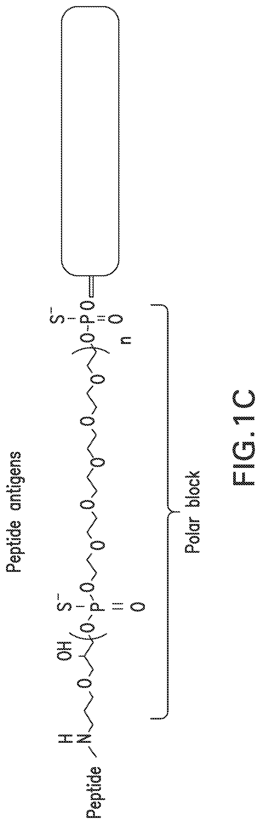 Patent US12303566 Figure 2 – Immunostimulatory compositions and methods of use thereof