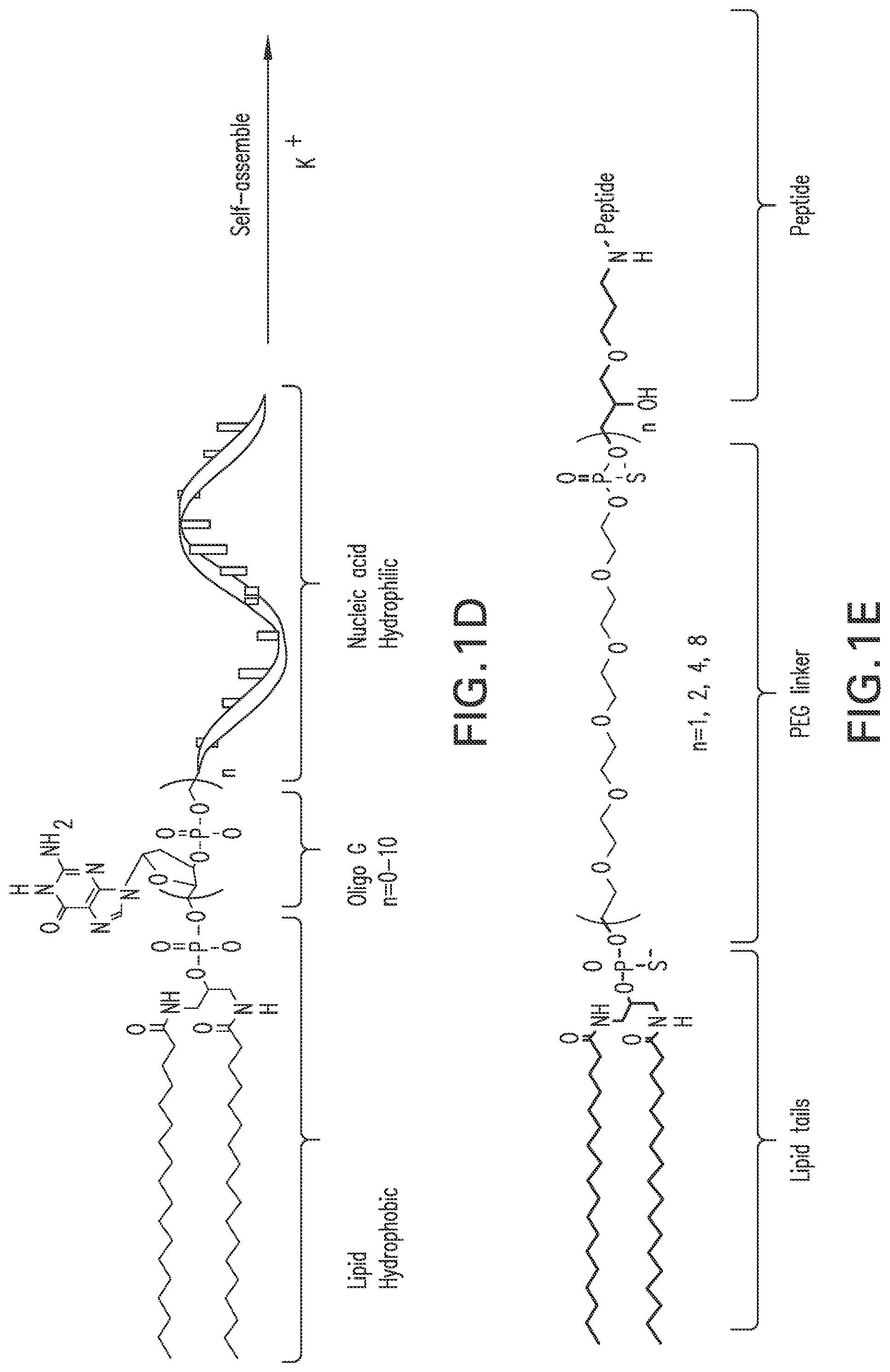 Patent US12303566 Figure 3 – Immunostimulatory compositions and methods of use thereof