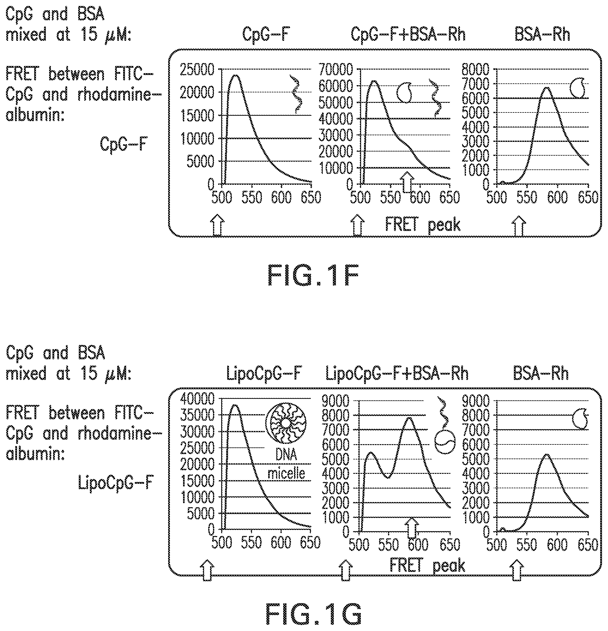 Patent US12303566 Figure 4 – Immunostimulatory compositions and methods of use thereof
