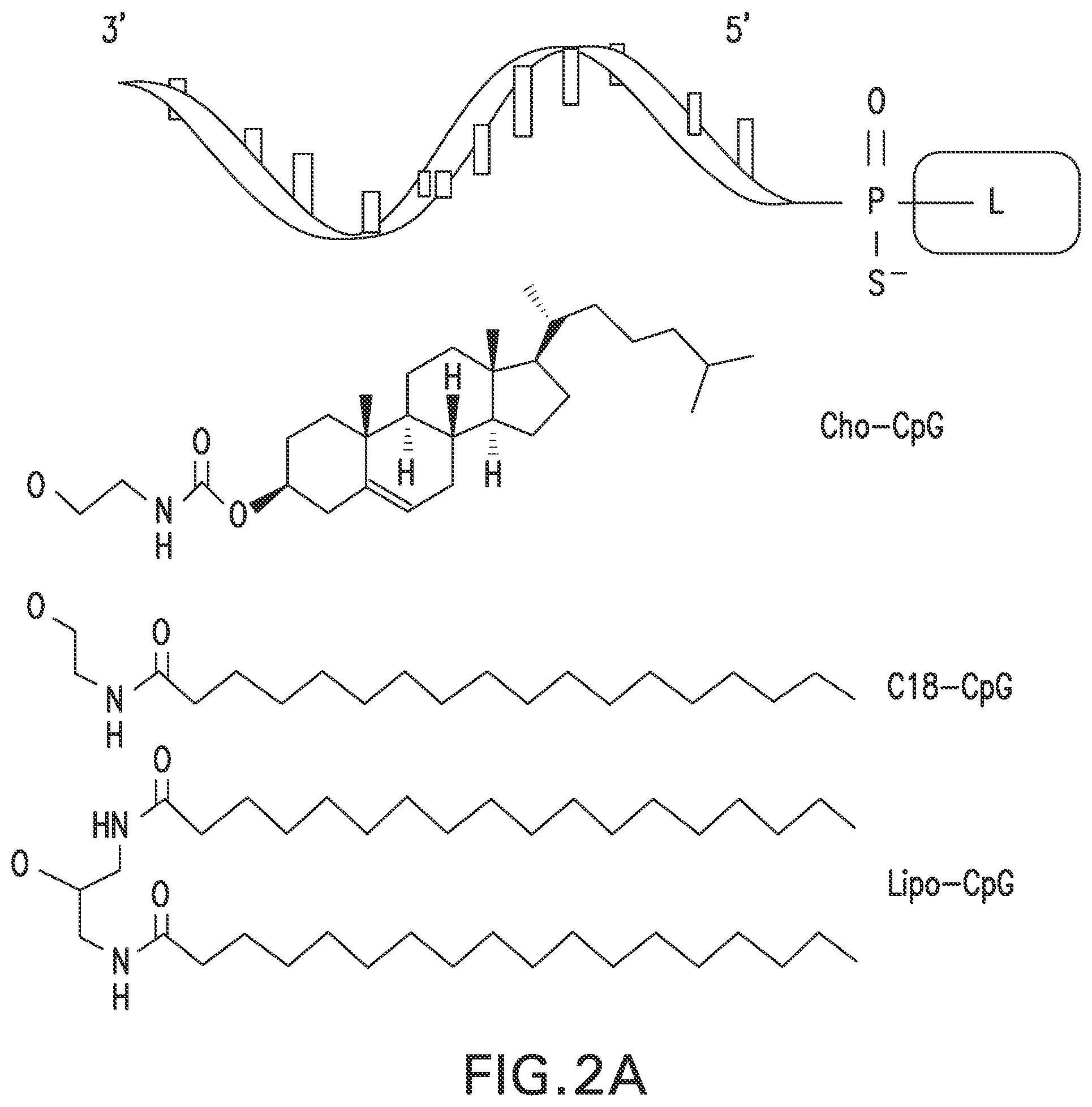 Patent US12303566 Figure 5 – Immunostimulatory compositions and methods of use thereof