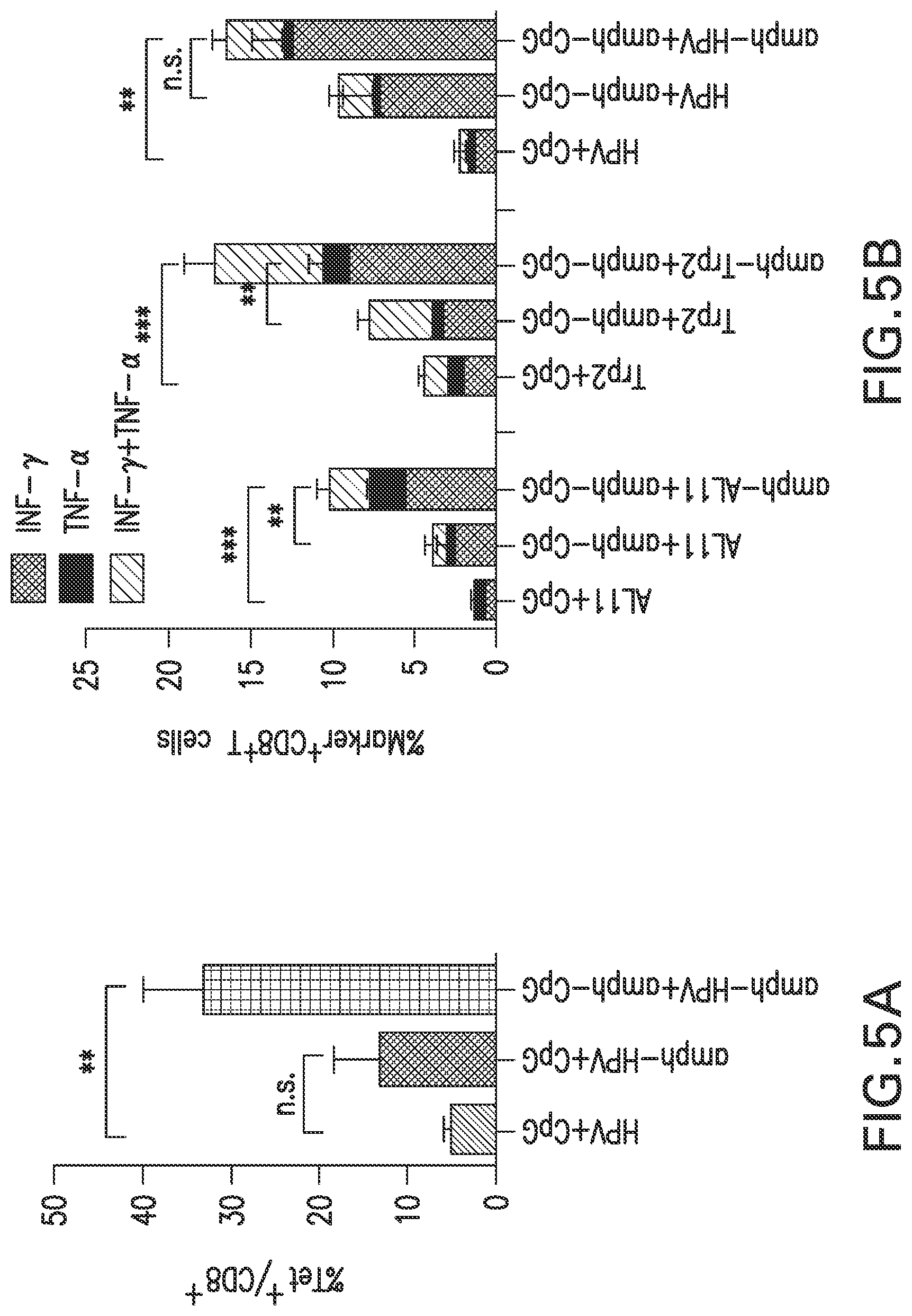 Patent US12303566 Figure 19 – Immunostimulatory compositions and methods of use thereof