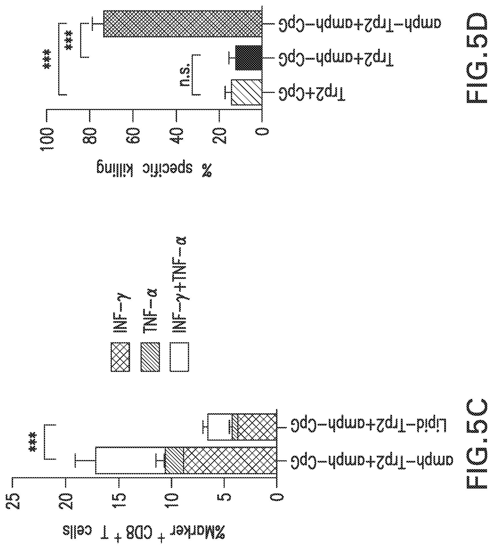 Patent US12303566 Figure 20 – Immunostimulatory compositions and methods of use thereof