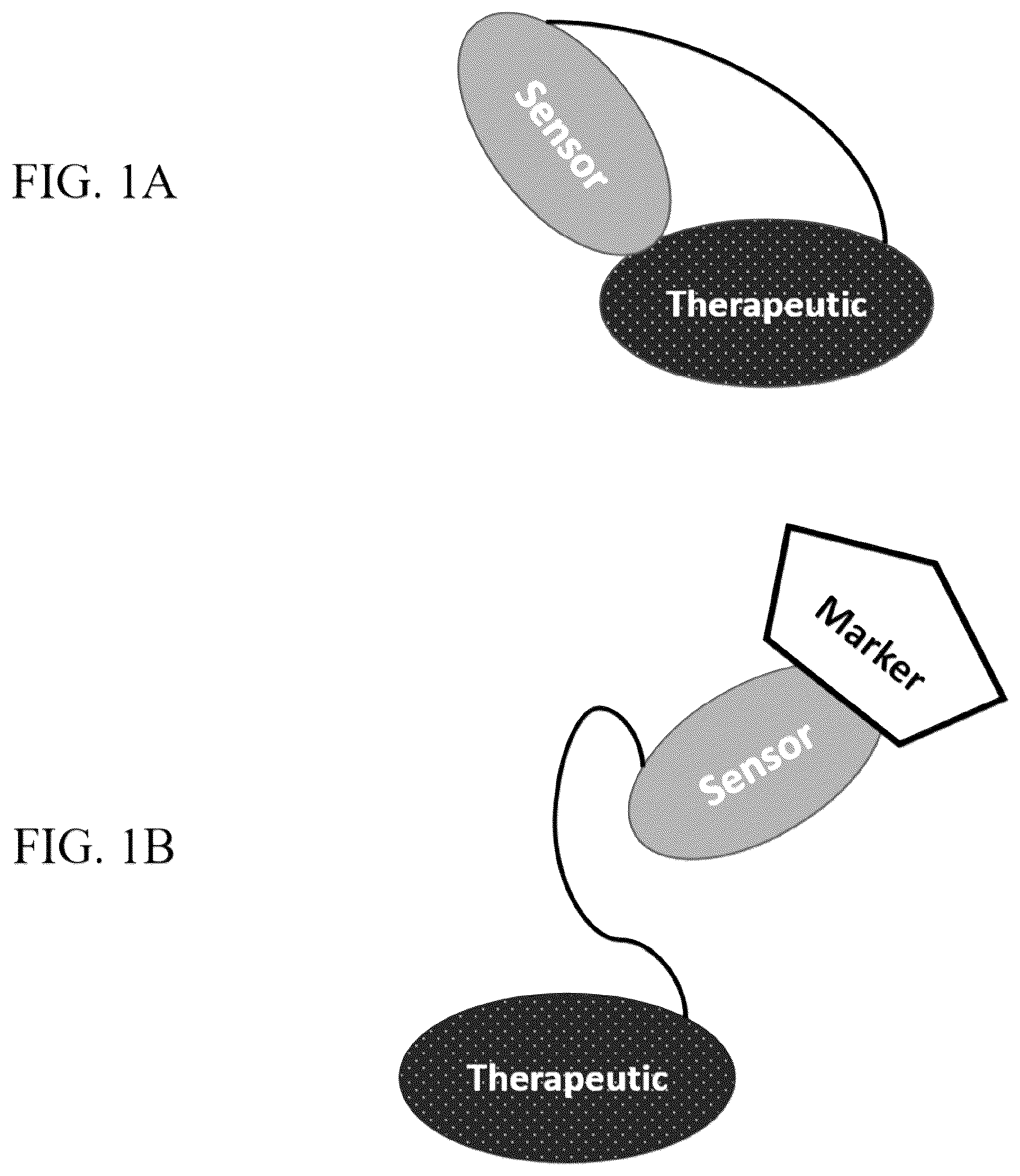 Patent US12303567 Figure 1 – Compositions of protein complexes and methods of use thereof