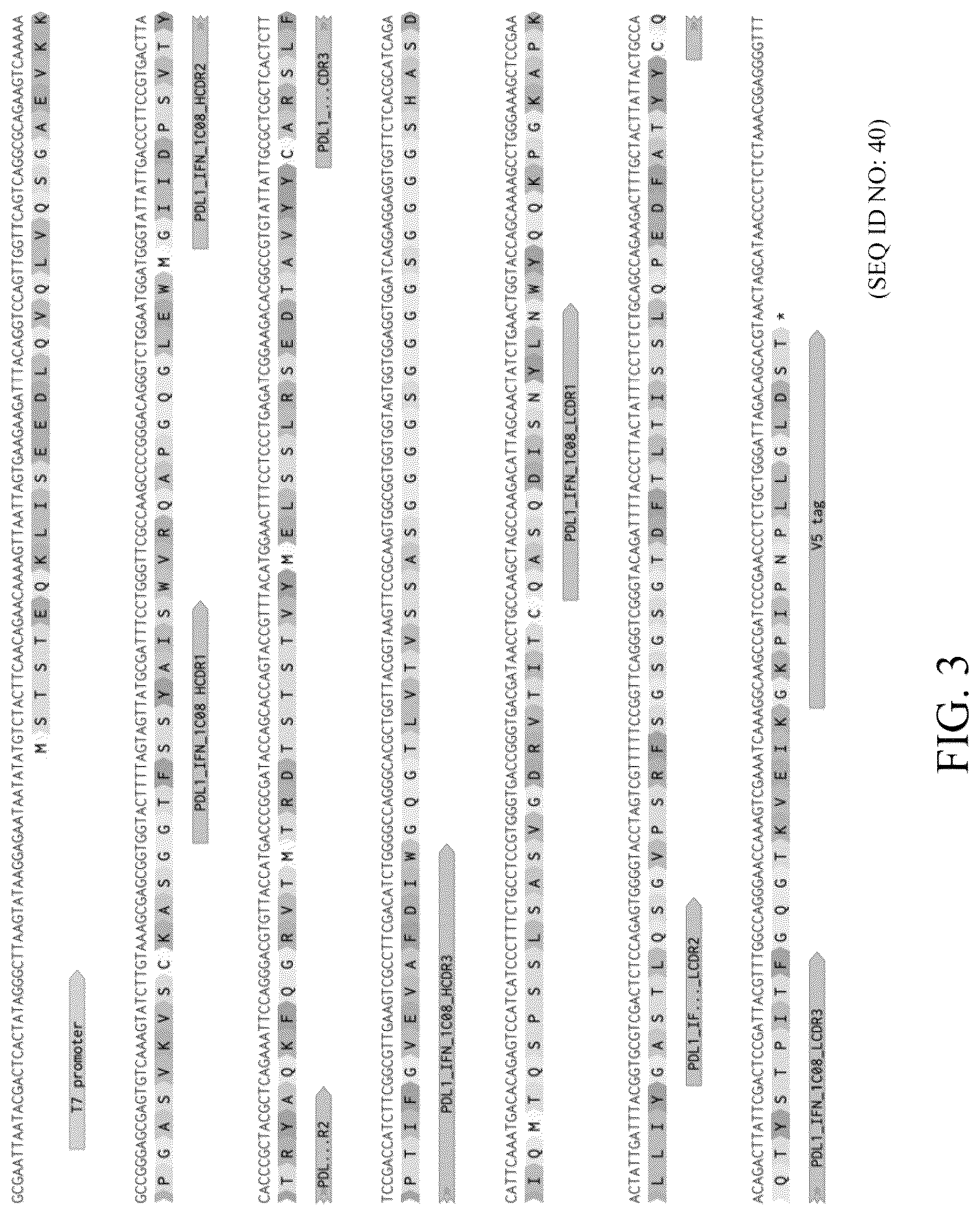 Patent US12303567 Figure 3 – Compositions of protein complexes and methods of use thereof