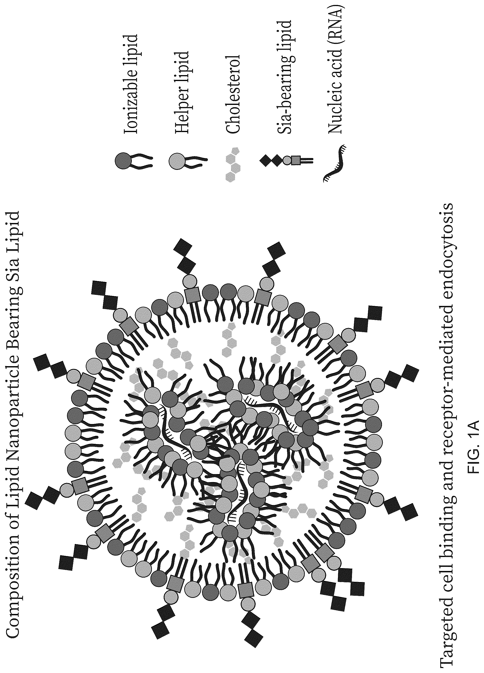 Patent US12303569 — Lipid nanoparticle compositions and uses thereof — Figure 1