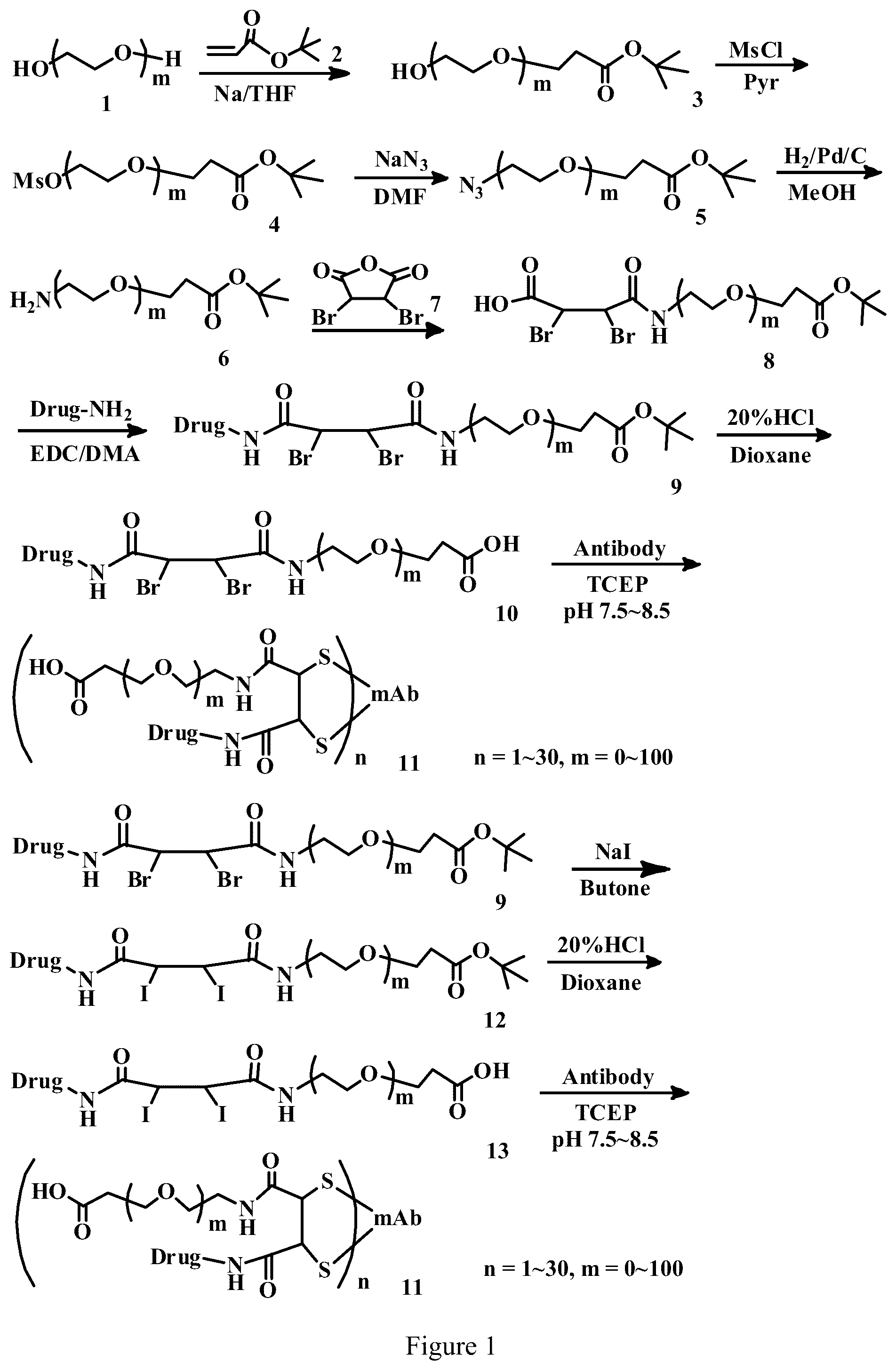 Patent US12303571 Figure 1 – Specific conjugation linkers, specific immunoconjugates thereof, methods of making and uses such conjugates thereof