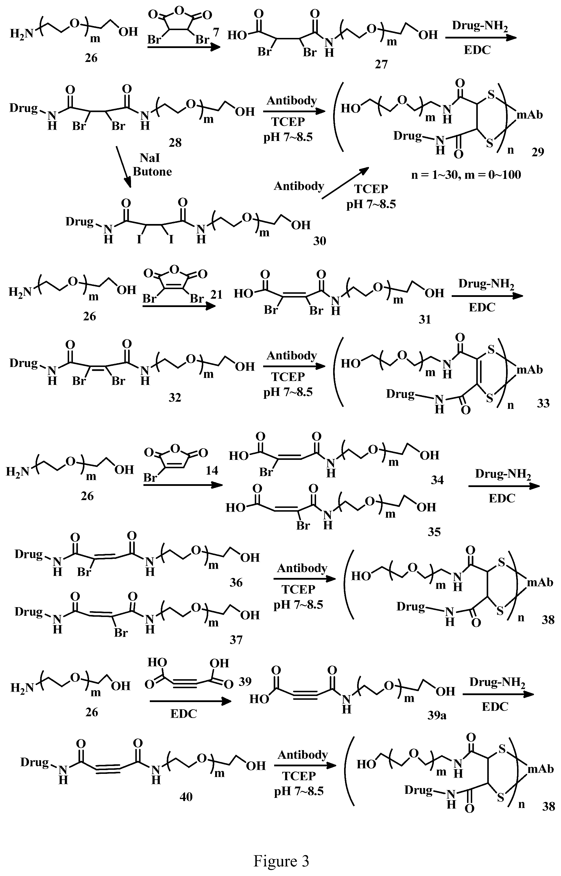 Patent US12303571 Figure 3 – Specific conjugation linkers, specific immunoconjugates thereof, methods of making and uses such conjugates thereof