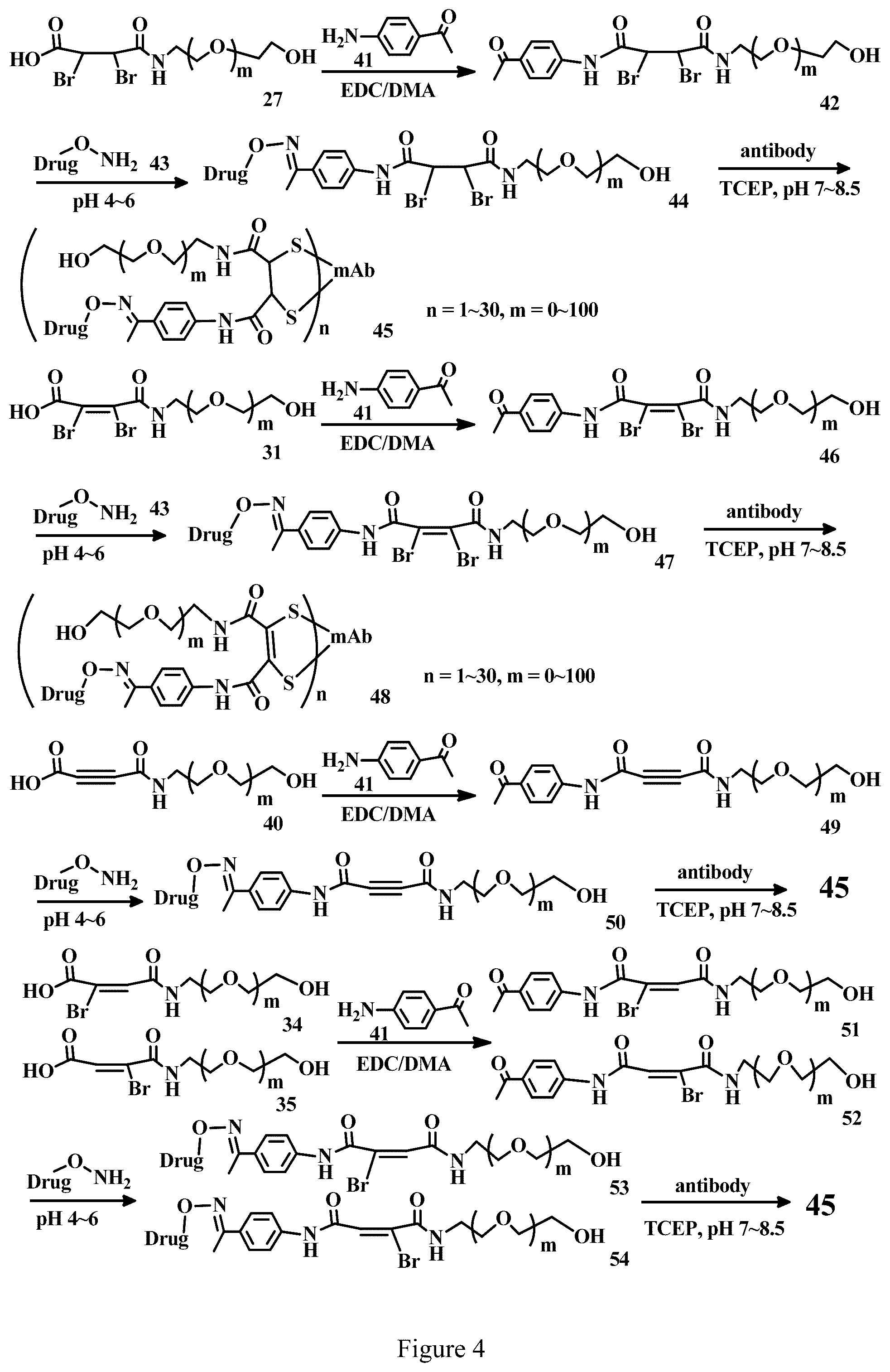 Patent US12303571 Figure 4 – Specific conjugation linkers, specific immunoconjugates thereof, methods of making and uses such conjugates thereof