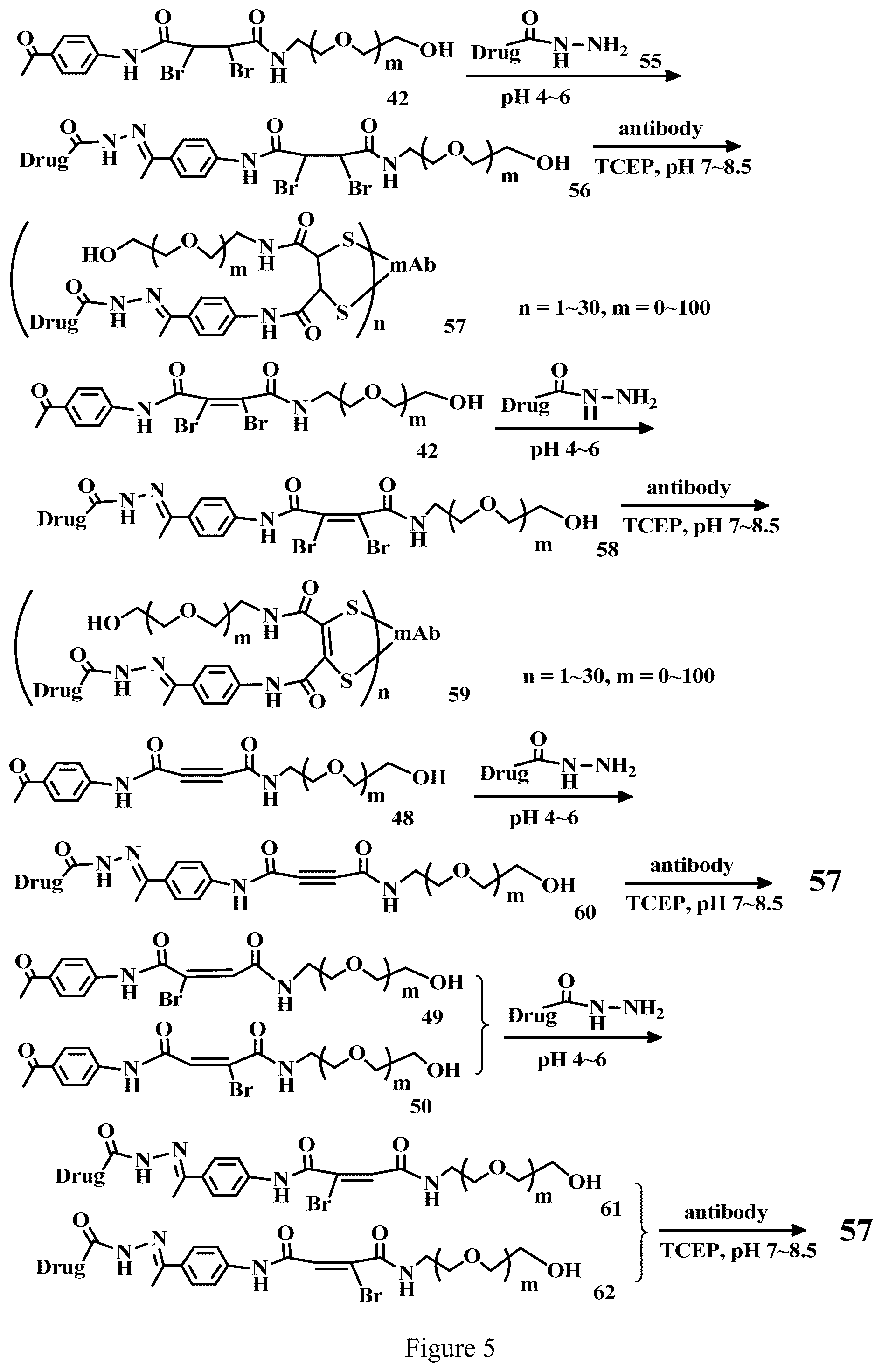 Patent US12303571 Figure 5 – Specific conjugation linkers, specific immunoconjugates thereof, methods of making and uses such conjugates thereof