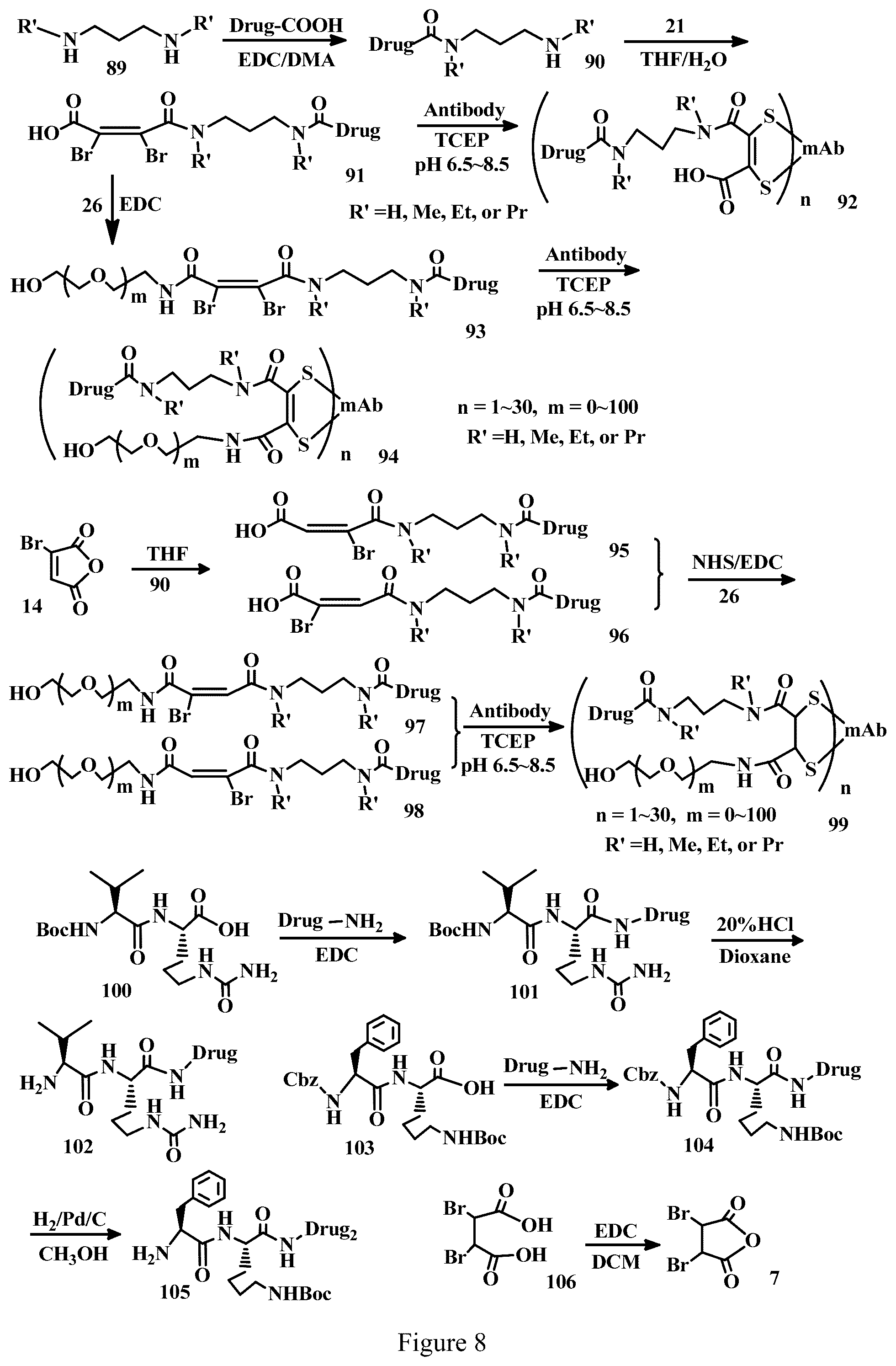 Patent US12303571 Figure 8 – Specific conjugation linkers, specific immunoconjugates thereof, methods of making and uses such conjugates thereof