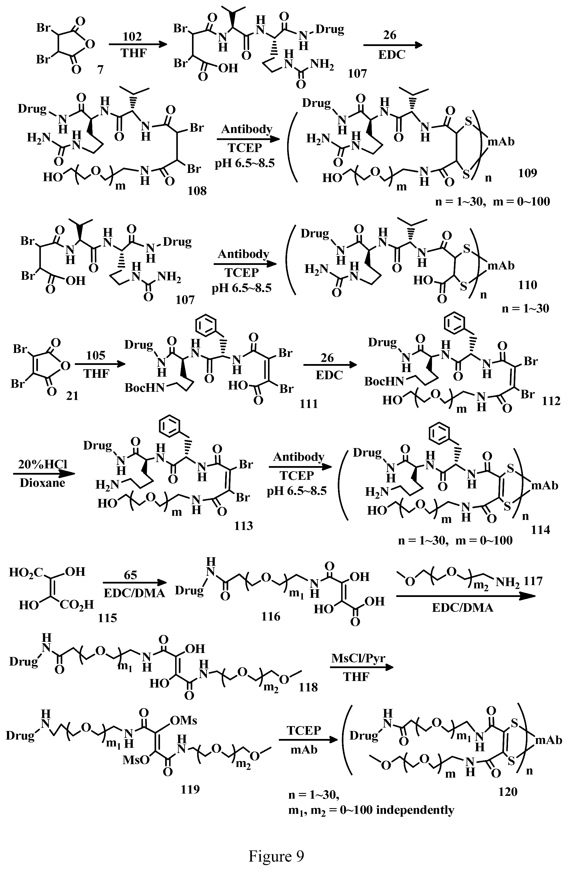 Patent US12303571 Figure 9 – Specific conjugation linkers, specific immunoconjugates thereof, methods of making and uses such conjugates thereof