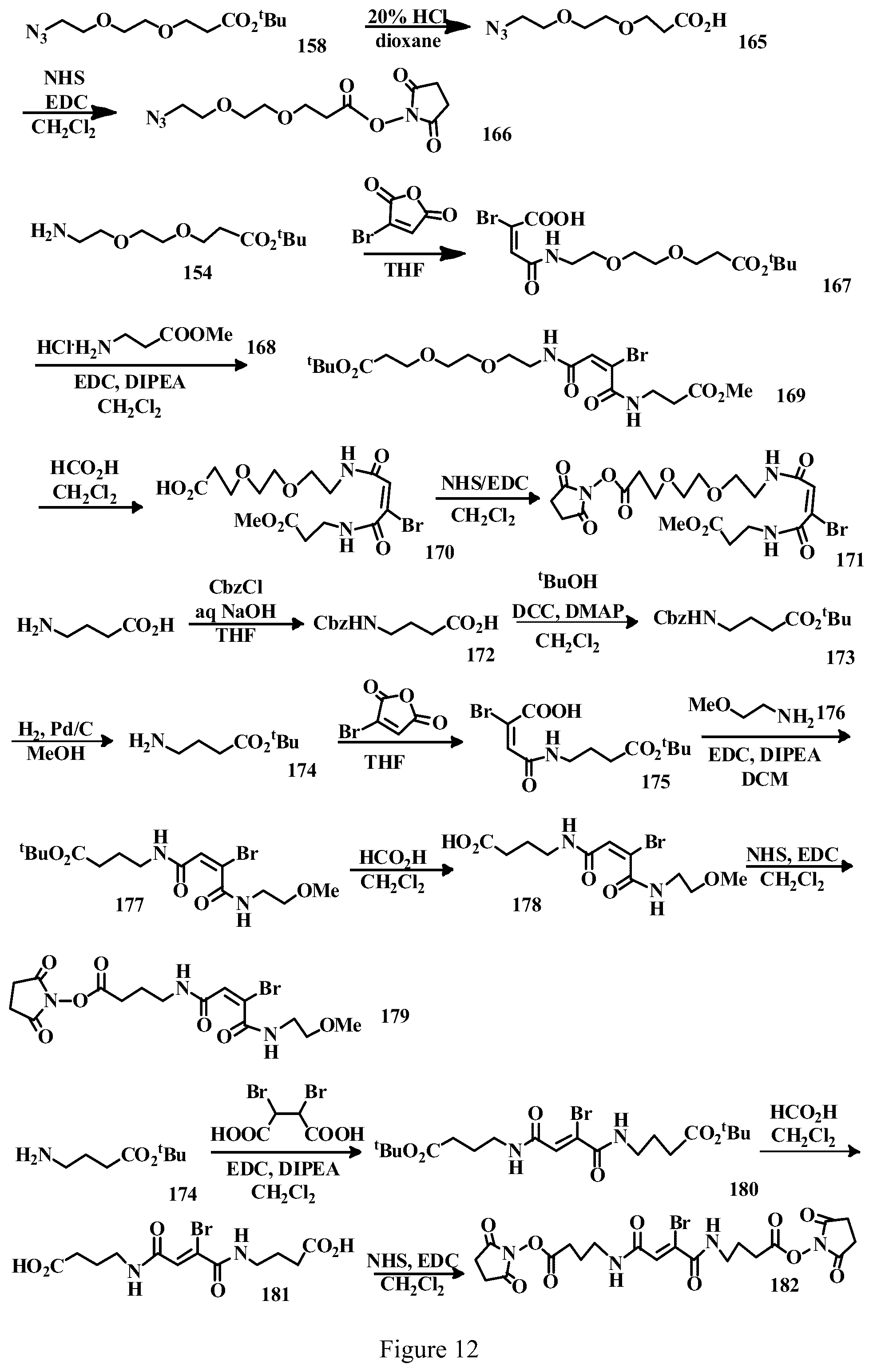 Patent US12303571 Figure 12 – Specific conjugation linkers, specific immunoconjugates thereof, methods of making and uses such conjugates thereof