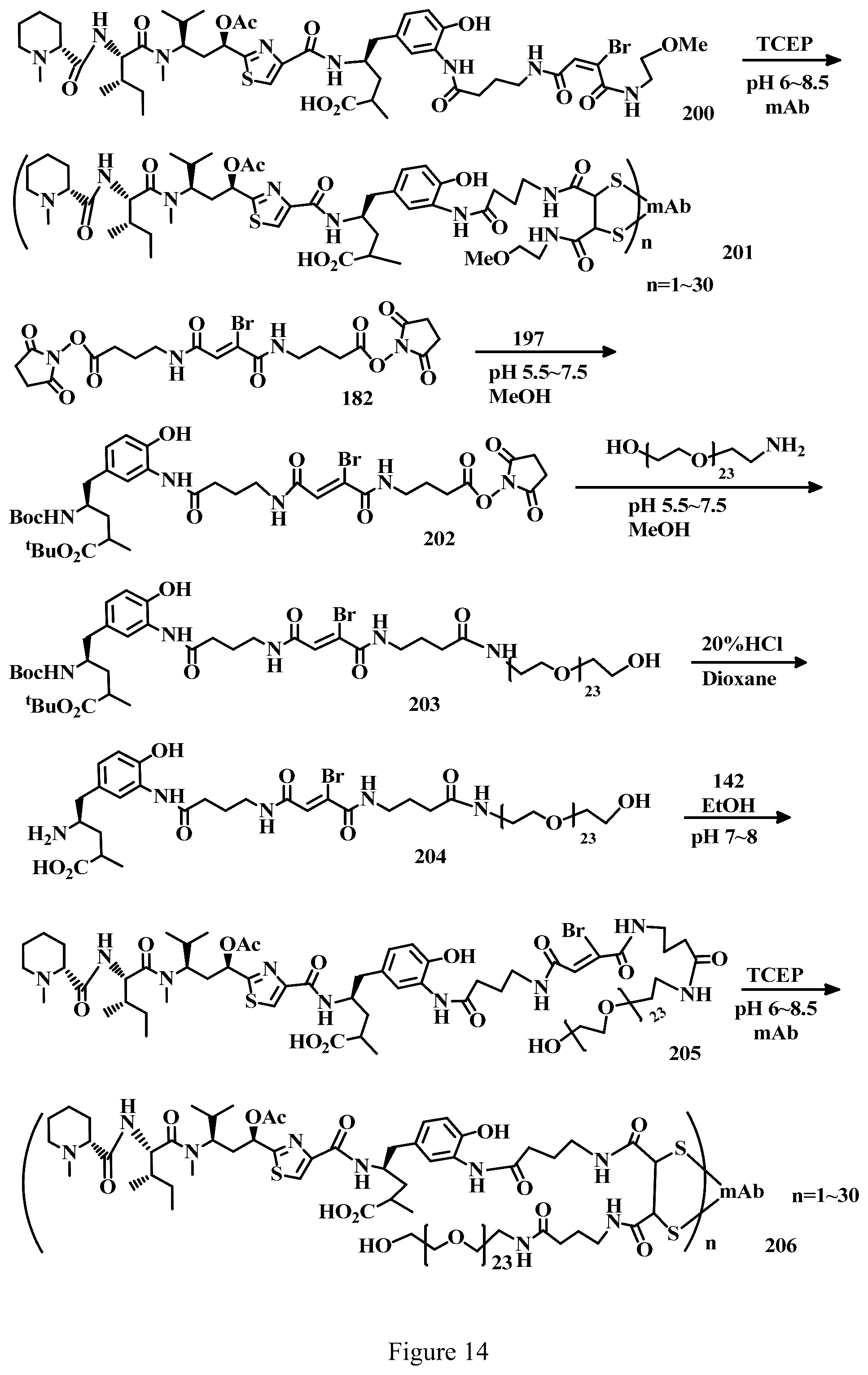 Patent US12303571 Figure 14 – Specific conjugation linkers, specific immunoconjugates thereof, methods of making and uses such conjugates thereof