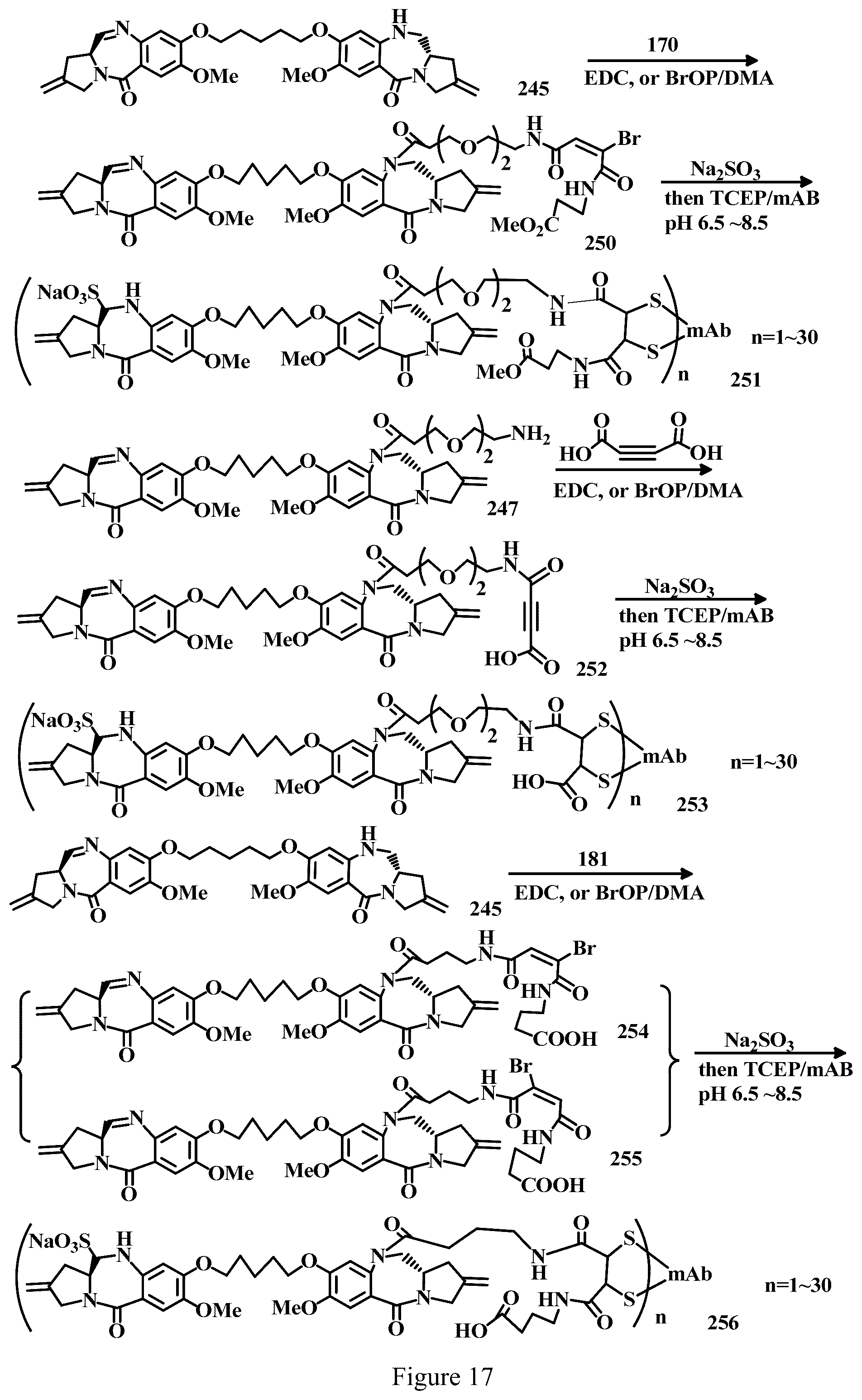 Patent US12303571 Figure 17 – Specific conjugation linkers, specific immunoconjugates thereof, methods of making and uses such conjugates thereof