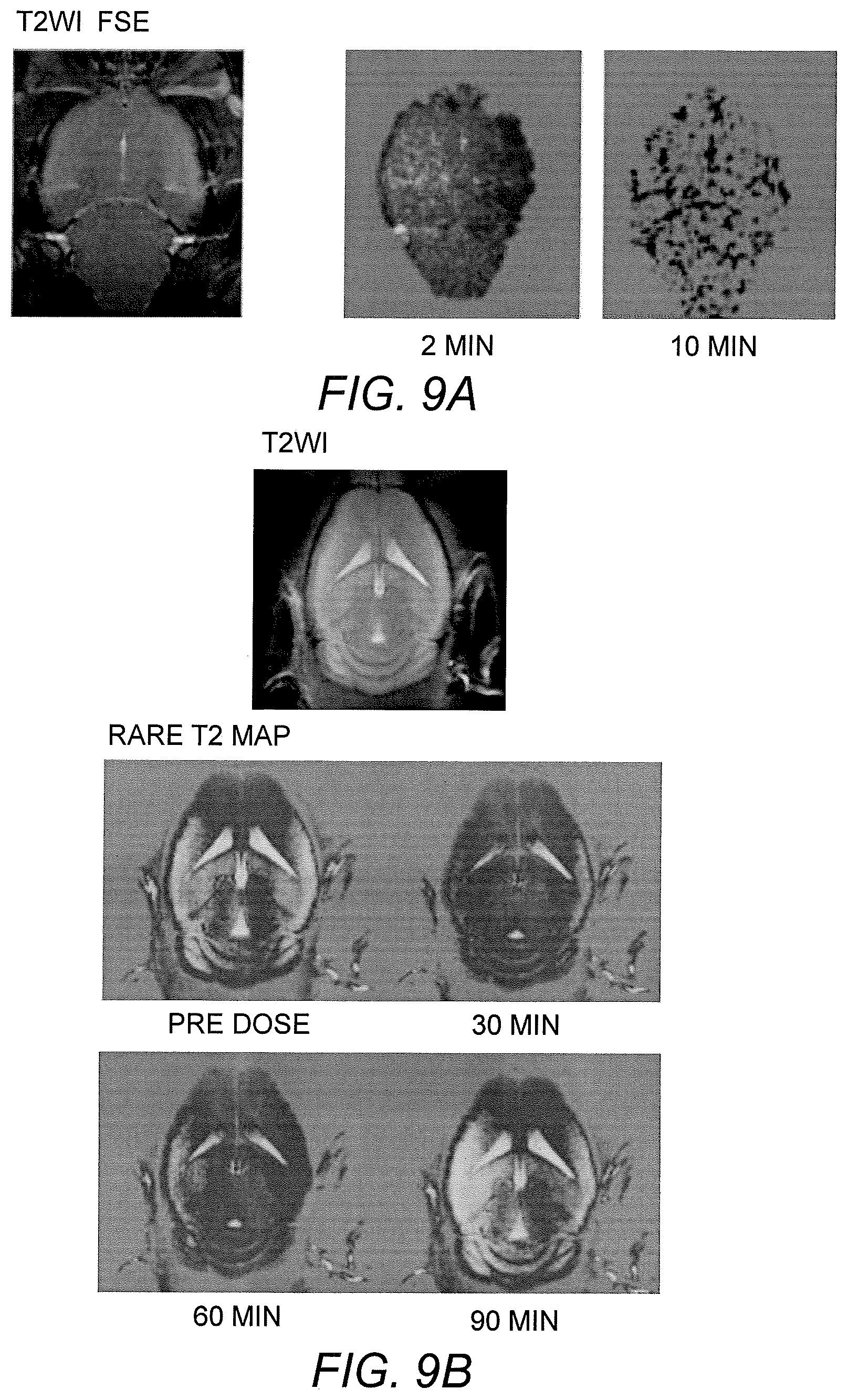 Patent US12303572 Figure 7 – Ascorbate formulations and methods of use as contrast agents