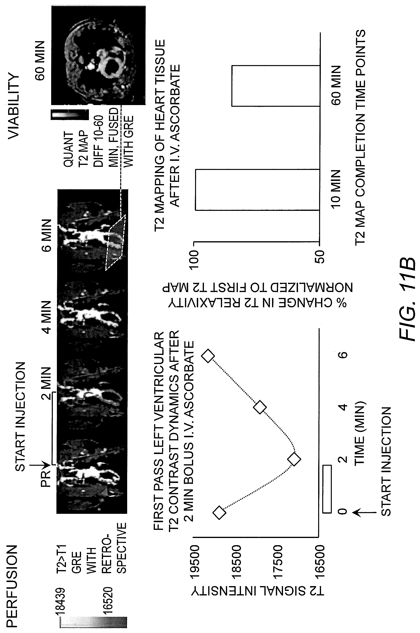 Patent US12303572 Figure 9 – Ascorbate formulations and methods of use as contrast agents