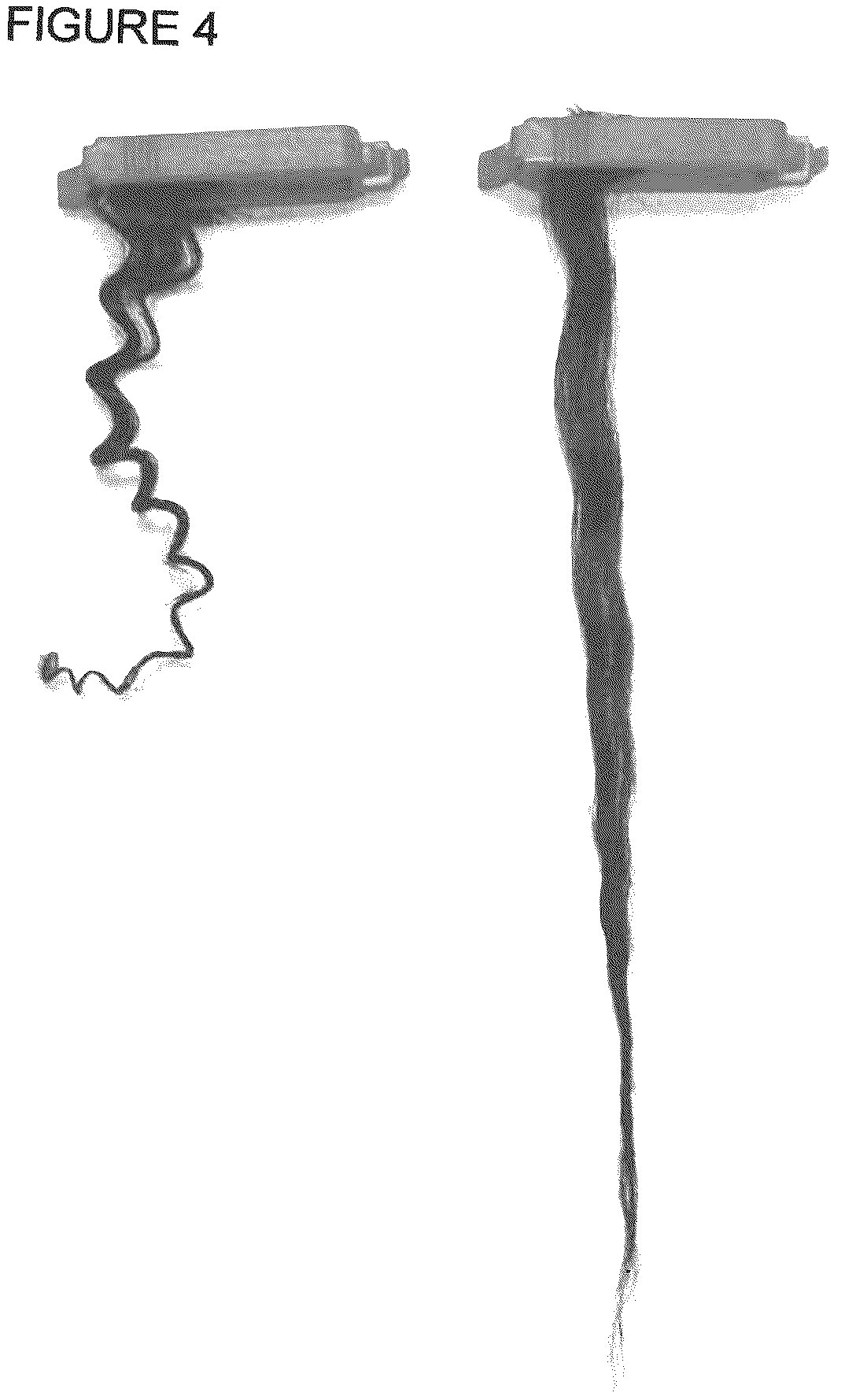 Patent US12303583 Figure 4 – Compositions and method of use for hair straightening and shaping