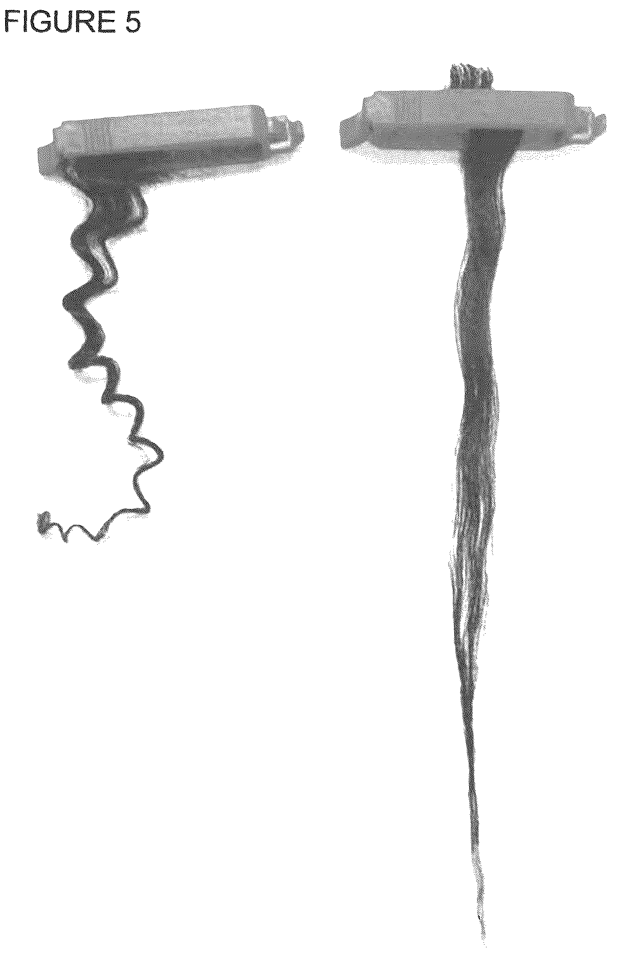 Patent US12303583 Figure 5 – Compositions and method of use for hair straightening and shaping