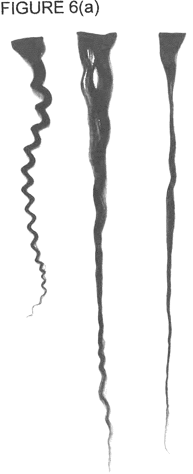 Patent US12303583 Figure 6 – Compositions and method of use for hair straightening and shaping