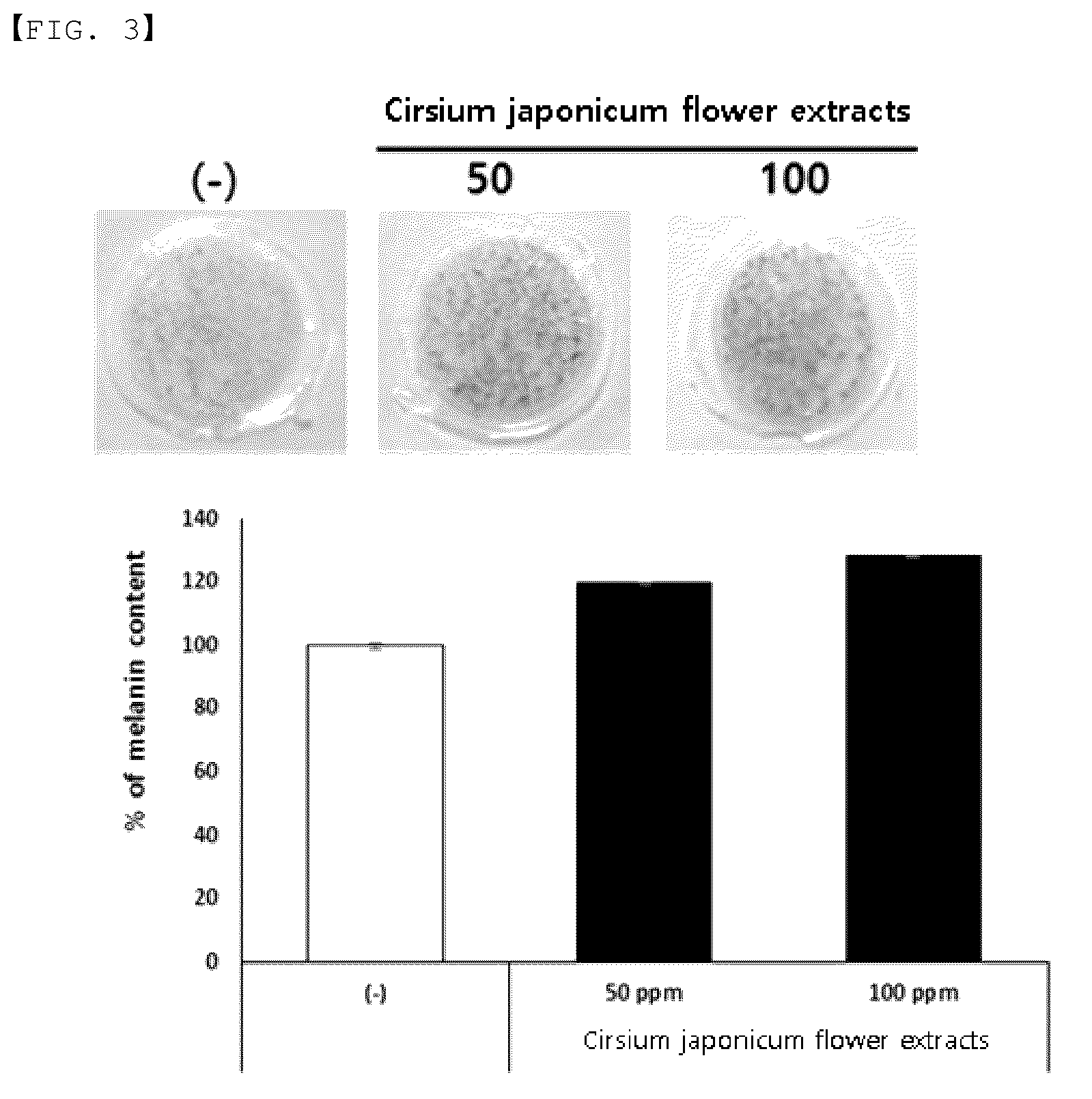 Patent US12303588 Figure 2 – Composition containing Cirsium japonicum extract as active ingredient for stimulating melanogenesis