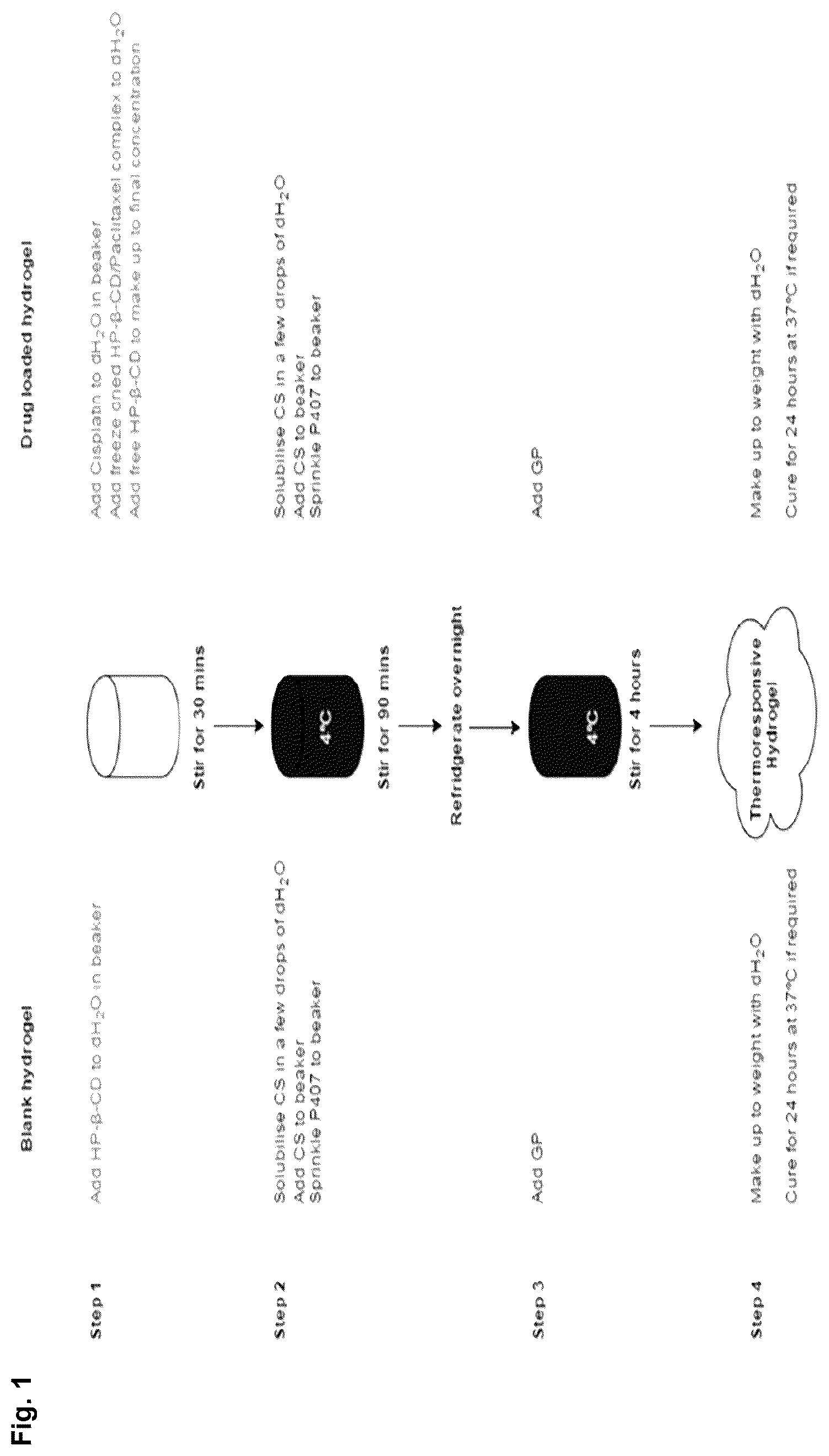 Patent US12303596 Figure 1 – Thermo-responsive hydrogel for intratumoral administration as a treatment in solid tumor cancers