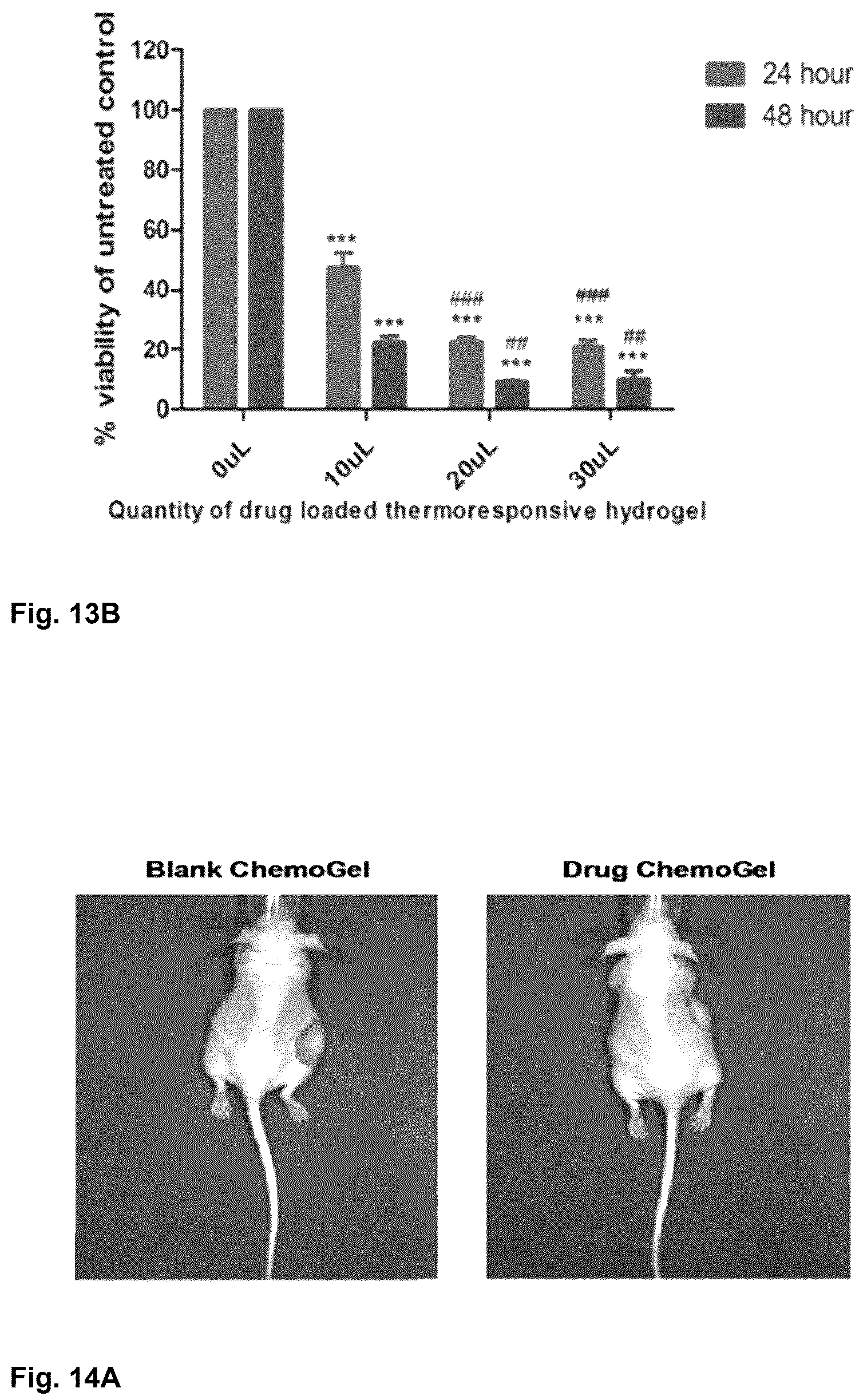 Patent US12303596 Figure 10 – Thermo-responsive hydrogel for intratumoral administration as a treatment in solid tumor cancers