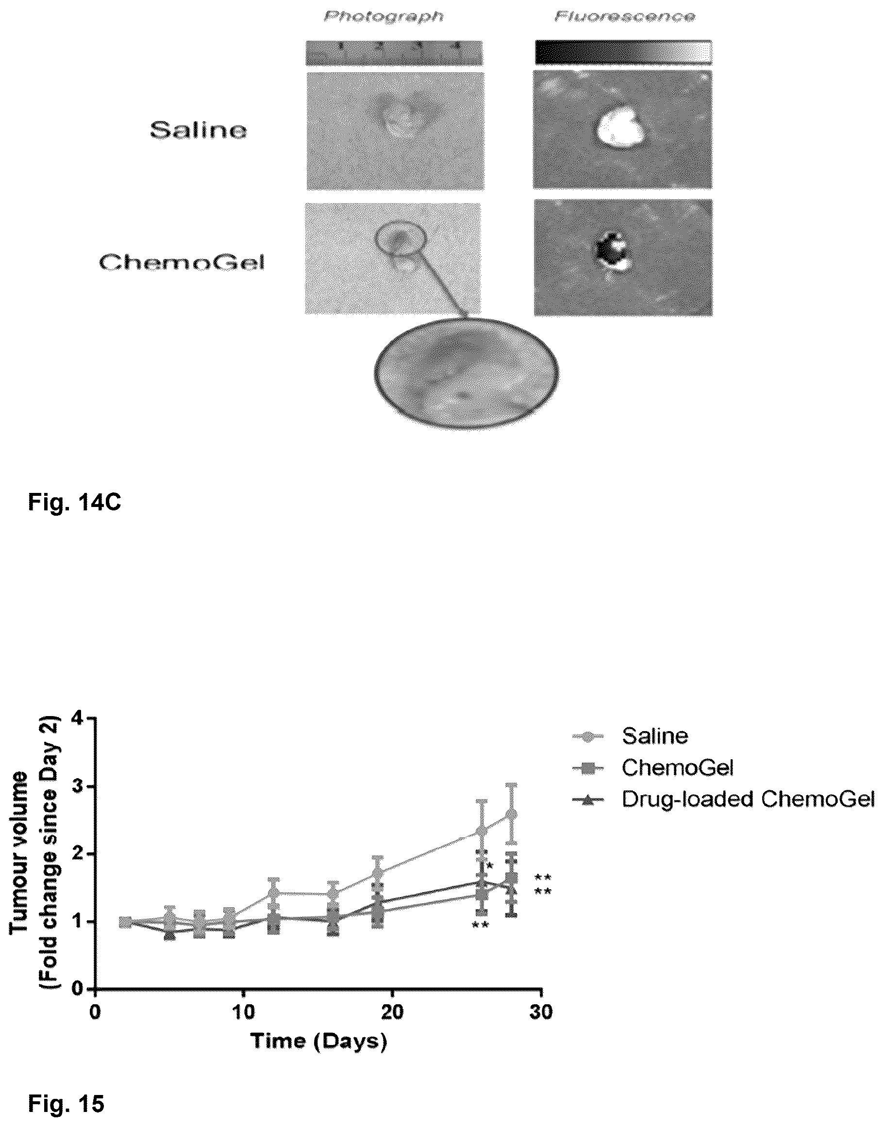 Patent US12303596 Figure 12 – Thermo-responsive hydrogel for intratumoral administration as a treatment in solid tumor cancers
