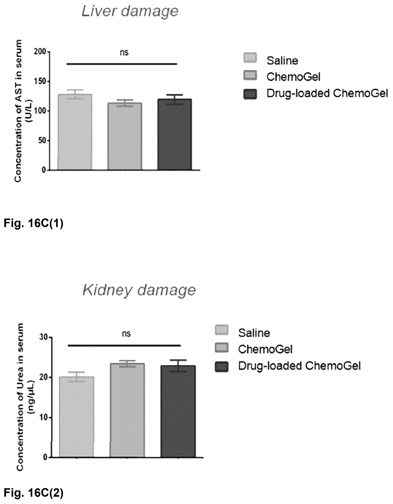 Patent US12303596 Figure 15 – Thermo-responsive hydrogel for intratumoral administration as a treatment in solid tumor cancers