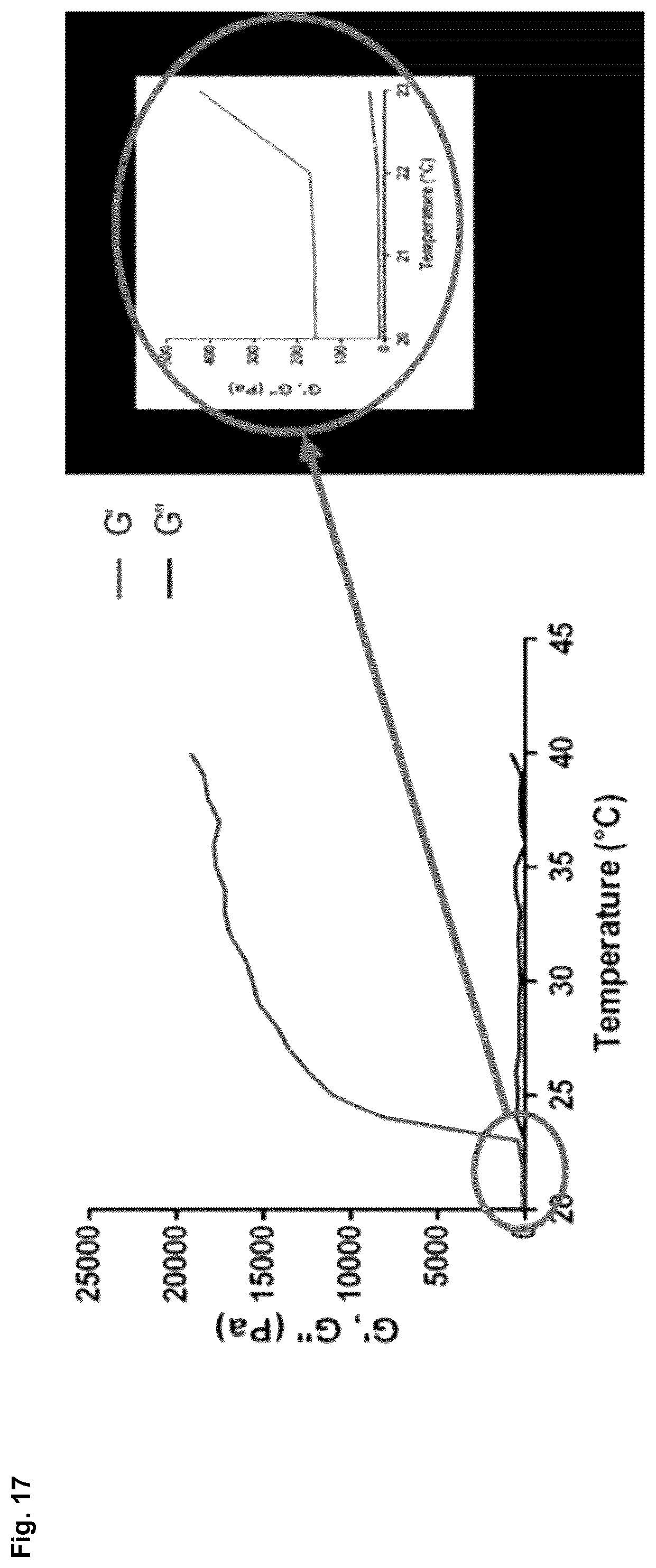 Patent US12303596 Figure 17 – Thermo-responsive hydrogel for intratumoral administration as a treatment in solid tumor cancers