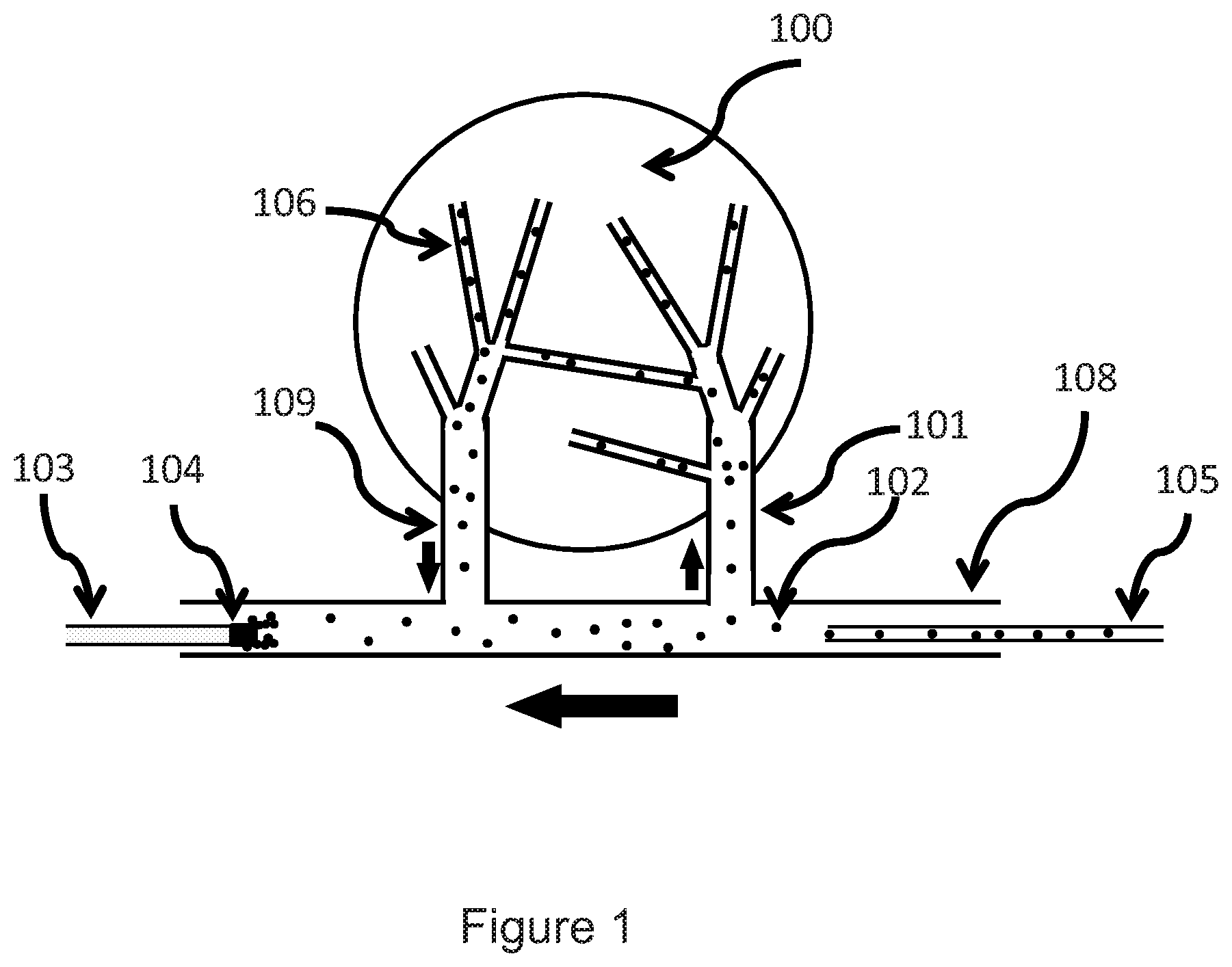 Patent US12303600 — Magnetic assisted drug delivery — Figure 1