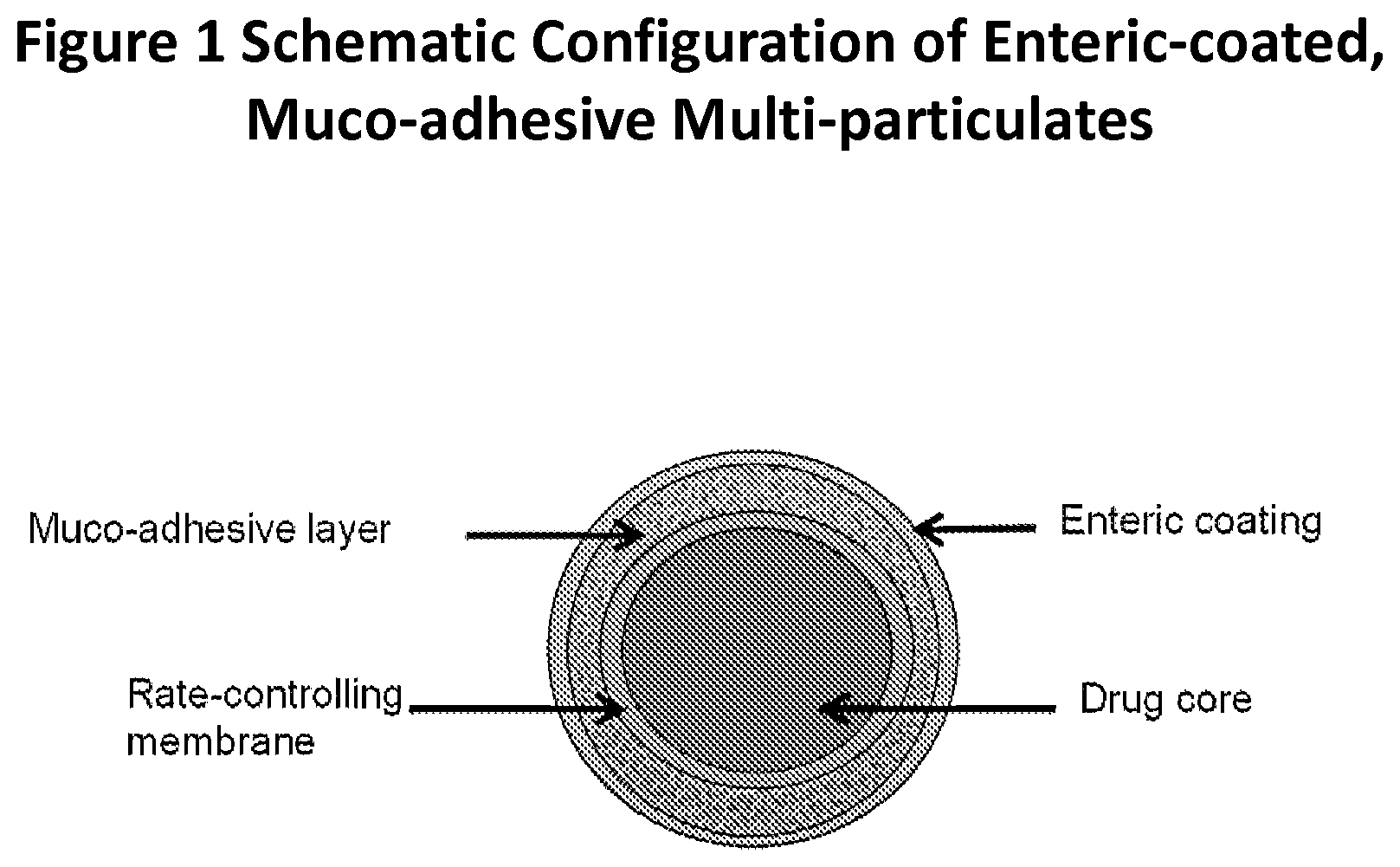 Patent US12303605 Figure 1 – Muco-adhesive, controlled release formulation of levodopa and/or esters of levodopa and uses thereof