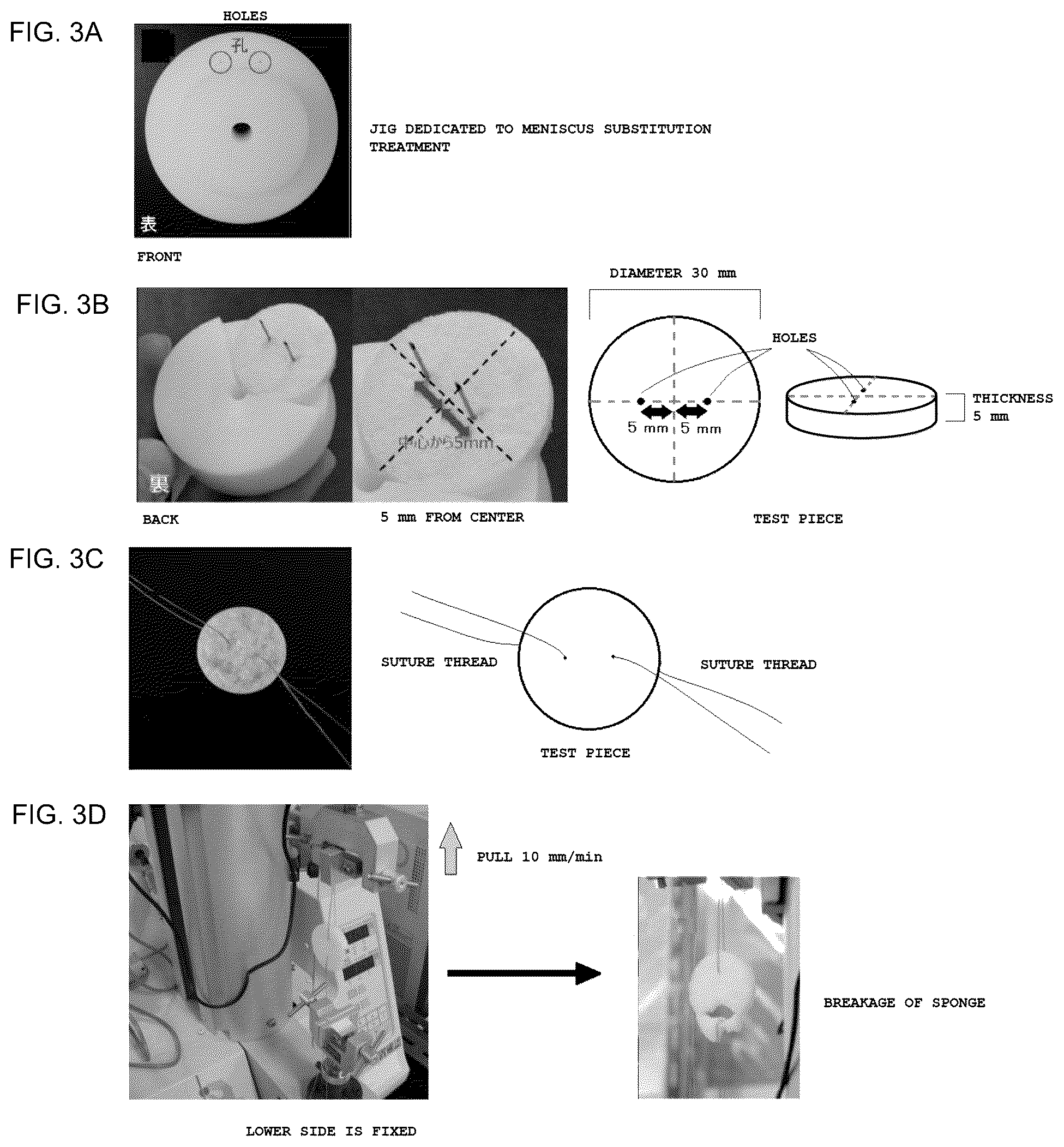 Patent US12303613 Figure 2 – High-strength collagen sponge