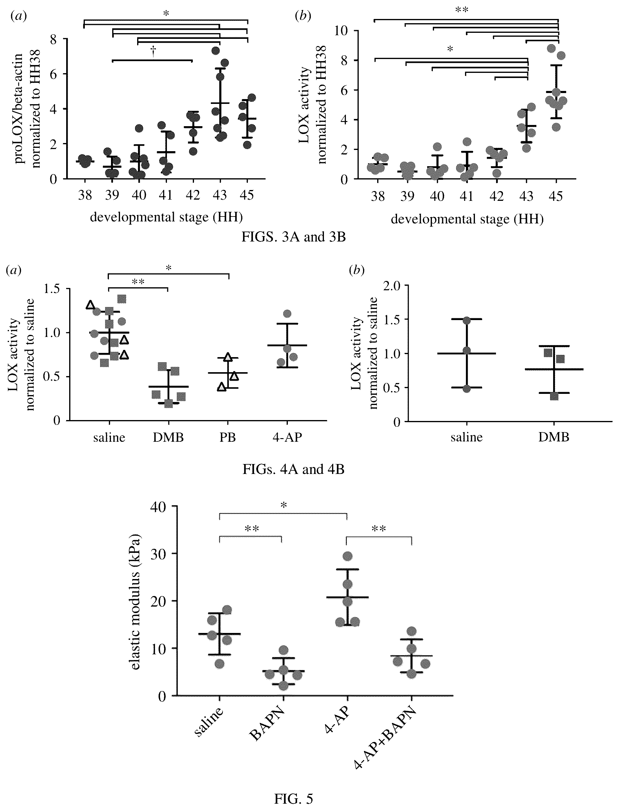 Patent US12303614 Figure 3 – Compositions and methods for improving mechanical properties of a tissue or for regenerating an injured or diseased tissue
