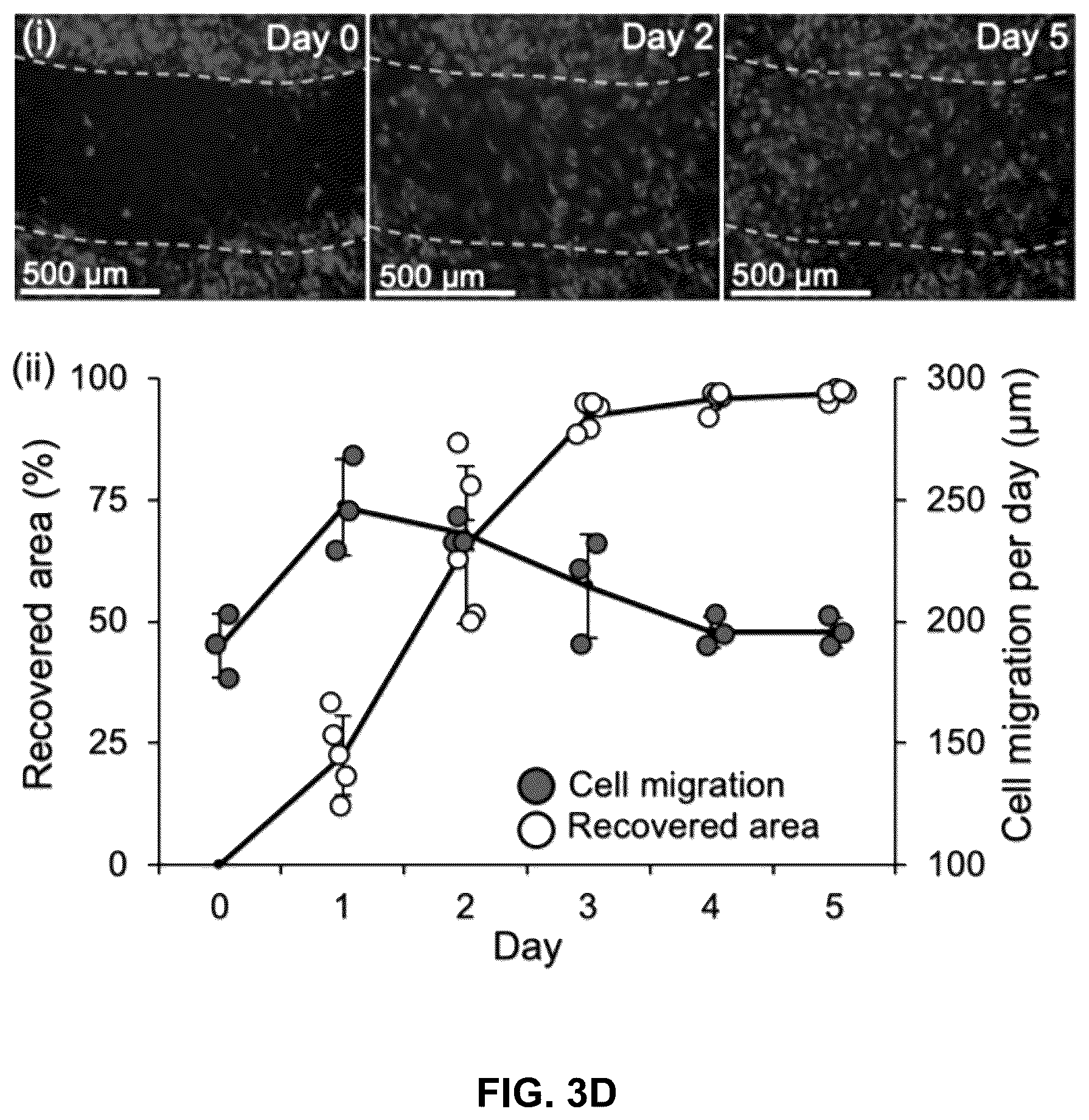 Patent US12303615 Figure 17 – Demineralized bone paper