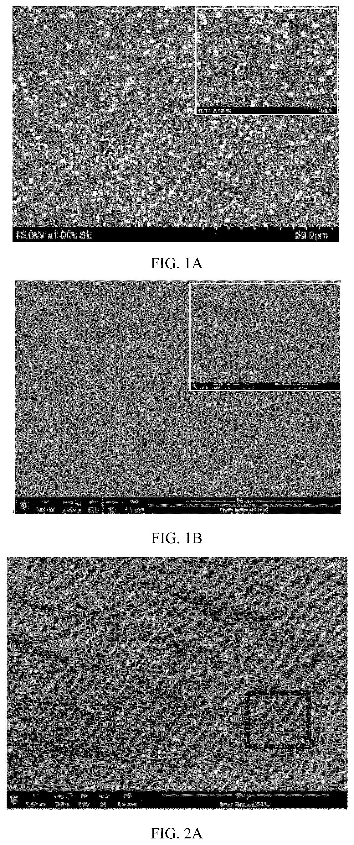 Patent US12303616 — Anti-thrombotic and endothelialization-enhanced bioprosthetic valve material and preparation method thereof — Figure 1