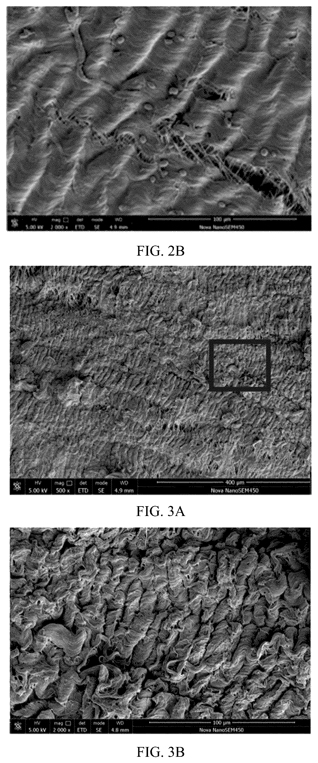 Patent US12303616 Figure 2 – Anti-thrombotic and endothelialization-enhanced bioprosthetic valve material and preparation method thereof
