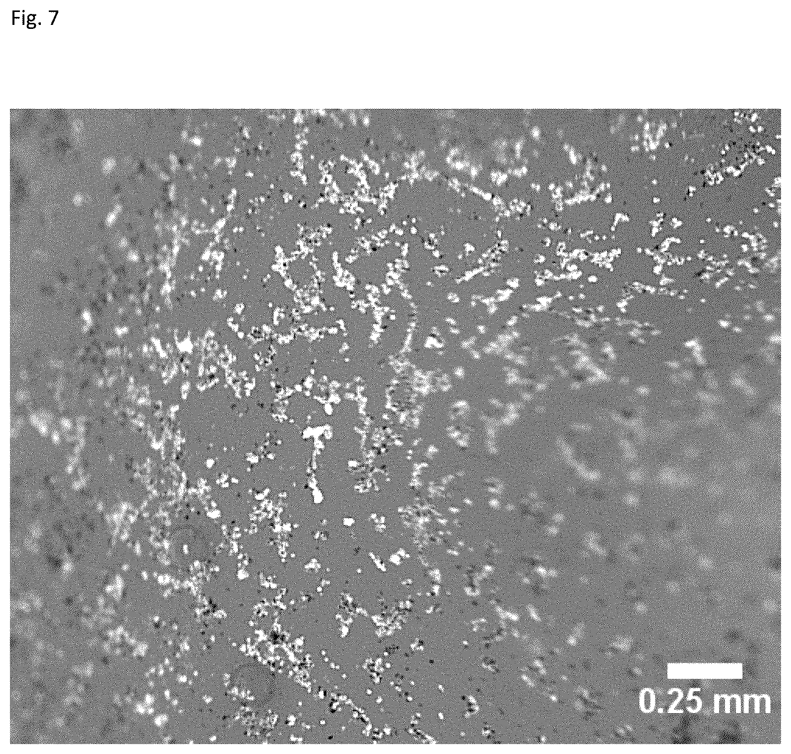 Patent US12303617 Figure 7 – Methods and materials for using fibrin supports for retinal pigment epithelium transplantation