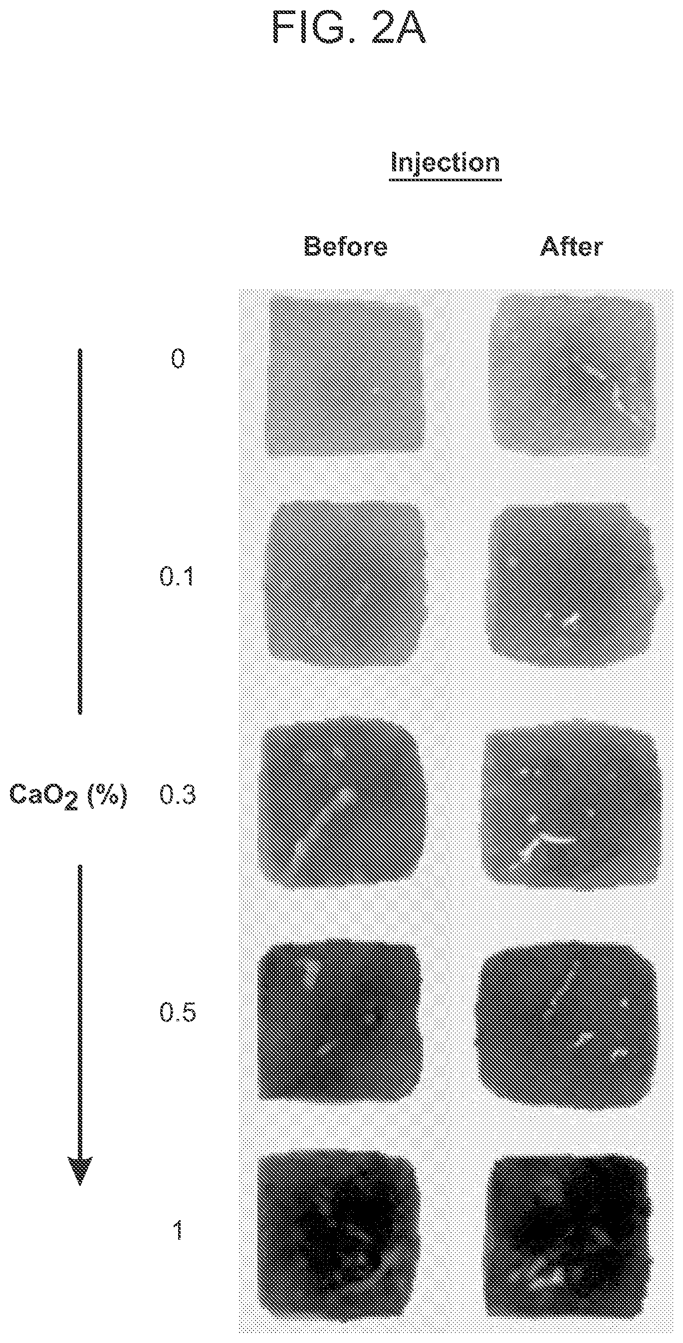 Patent US12303618 Figure 3 – Oxygen-generating cryogels