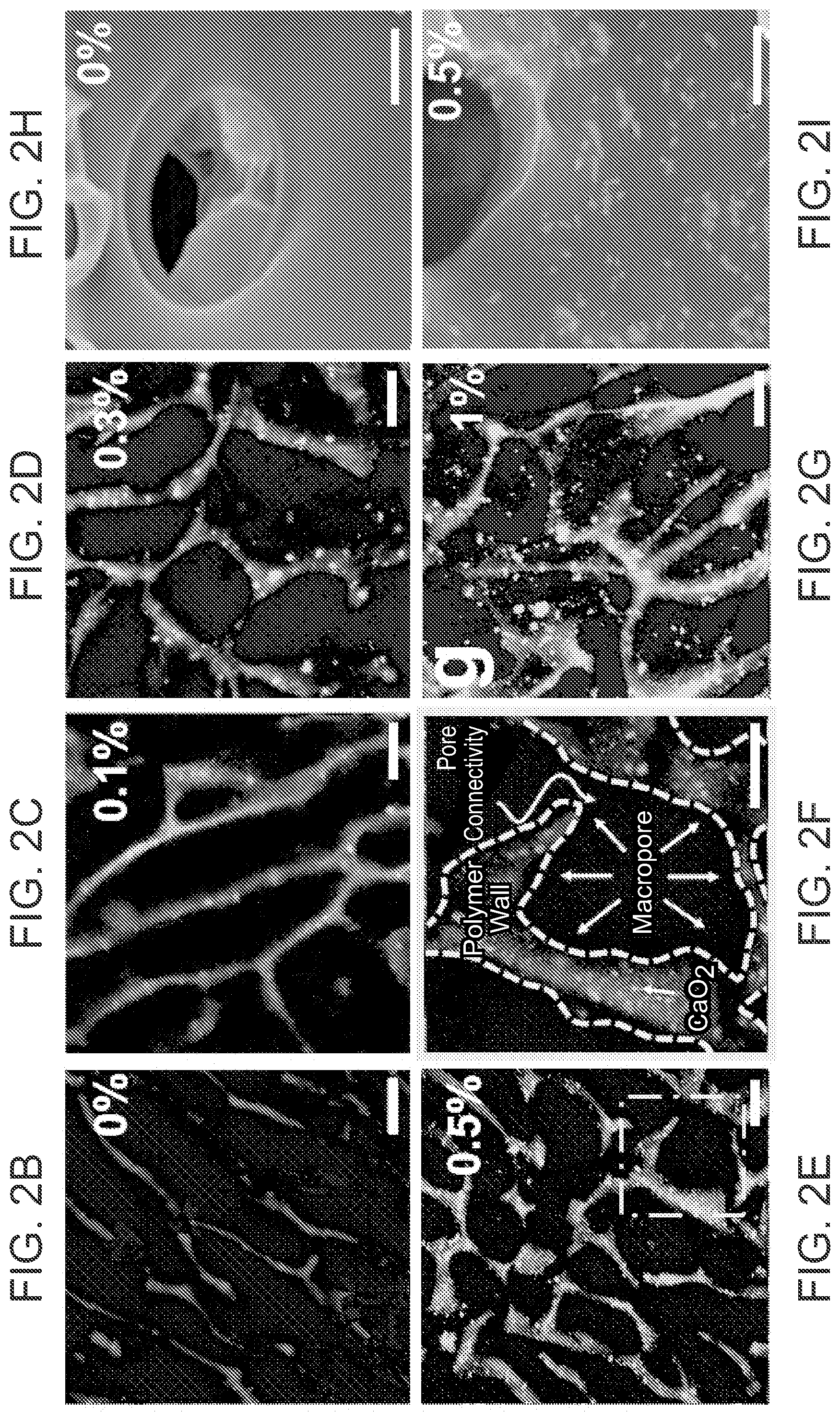 Patent US12303618 Figure 4 – Oxygen-generating cryogels