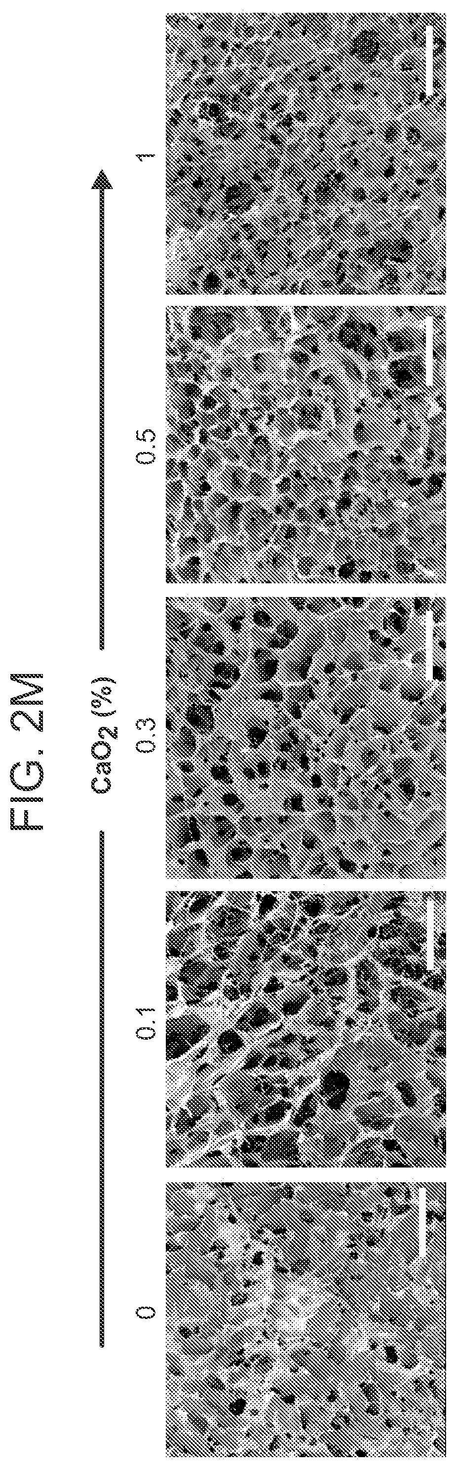 Patent US12303618 Figure 6 – Oxygen-generating cryogels