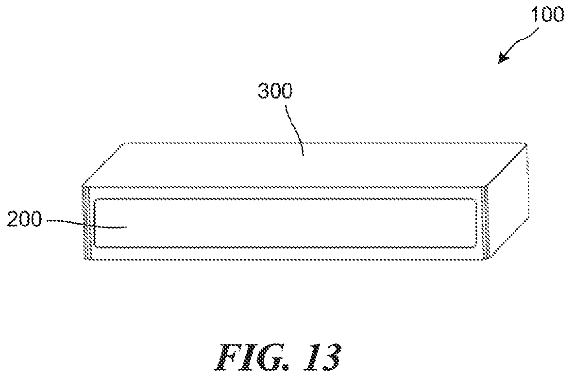 Patent US12303619 Figure 8 – Polymer implants