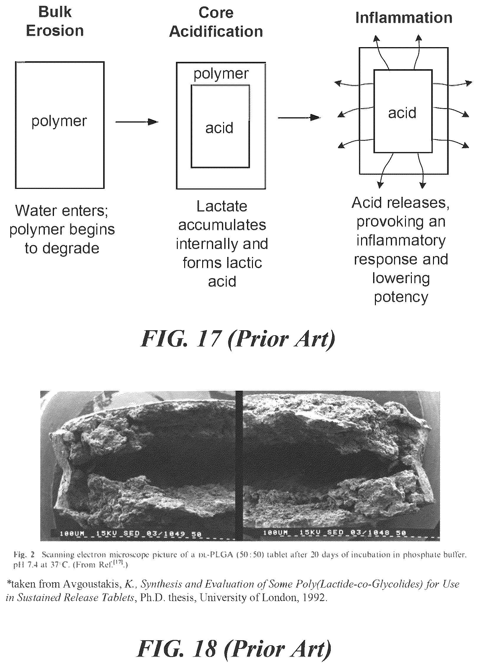 Patent US12303619 Figure 13 – Polymer implants