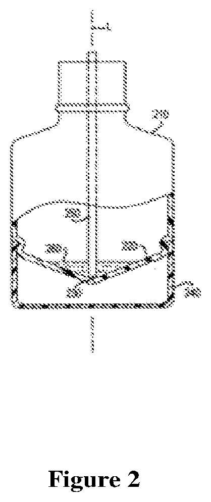 Patent US12303635 Figure 2 – Dispensing device and pharmaceutical composition for the treatment of rhinitis