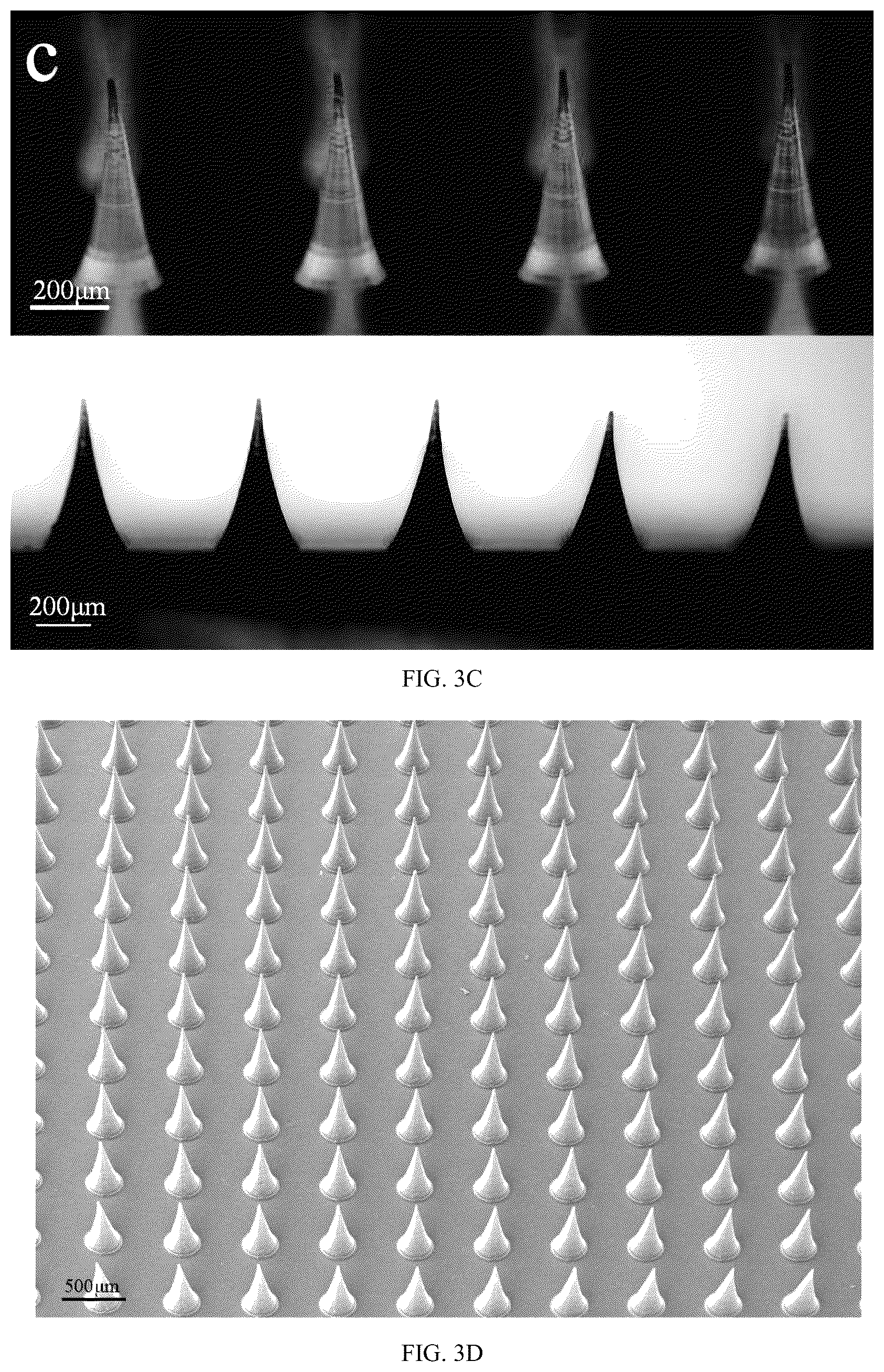 Patent US12303660 Figure 6 – Colchicine hydrogel microneedle and preparation method thereof