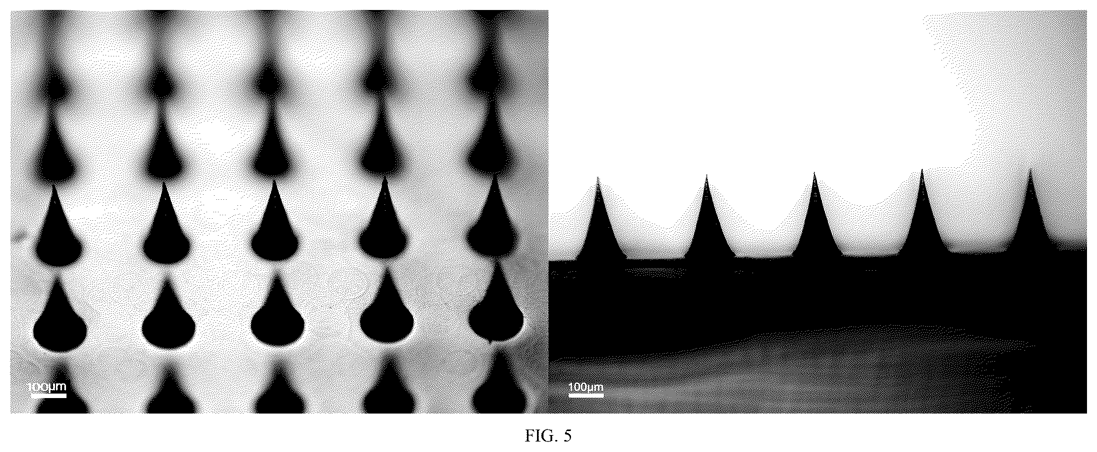 Patent US12303660 Figure 9 – Colchicine hydrogel microneedle and preparation method thereof