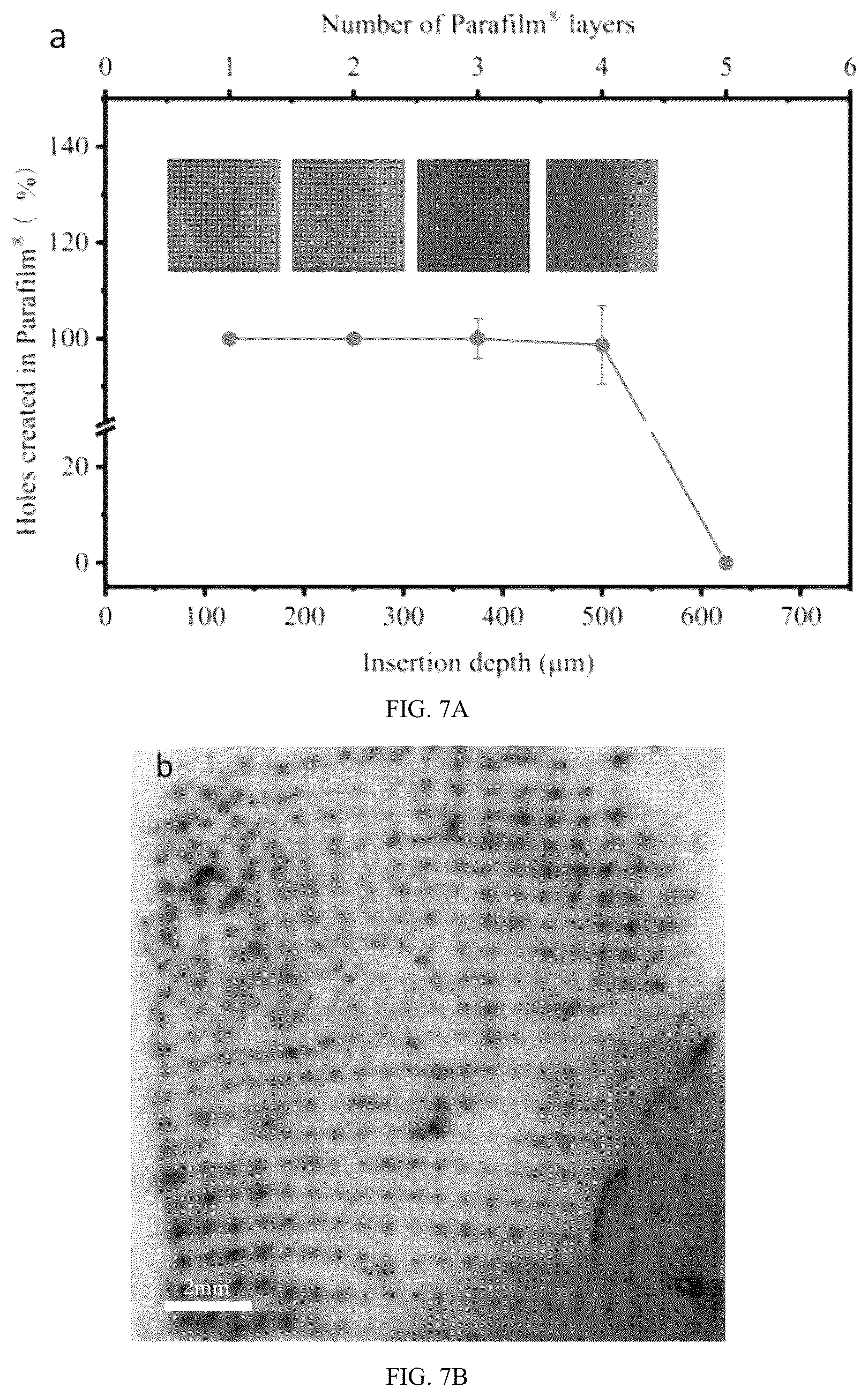 Patent US12303660 Figure 13 – Colchicine hydrogel microneedle and preparation method thereof