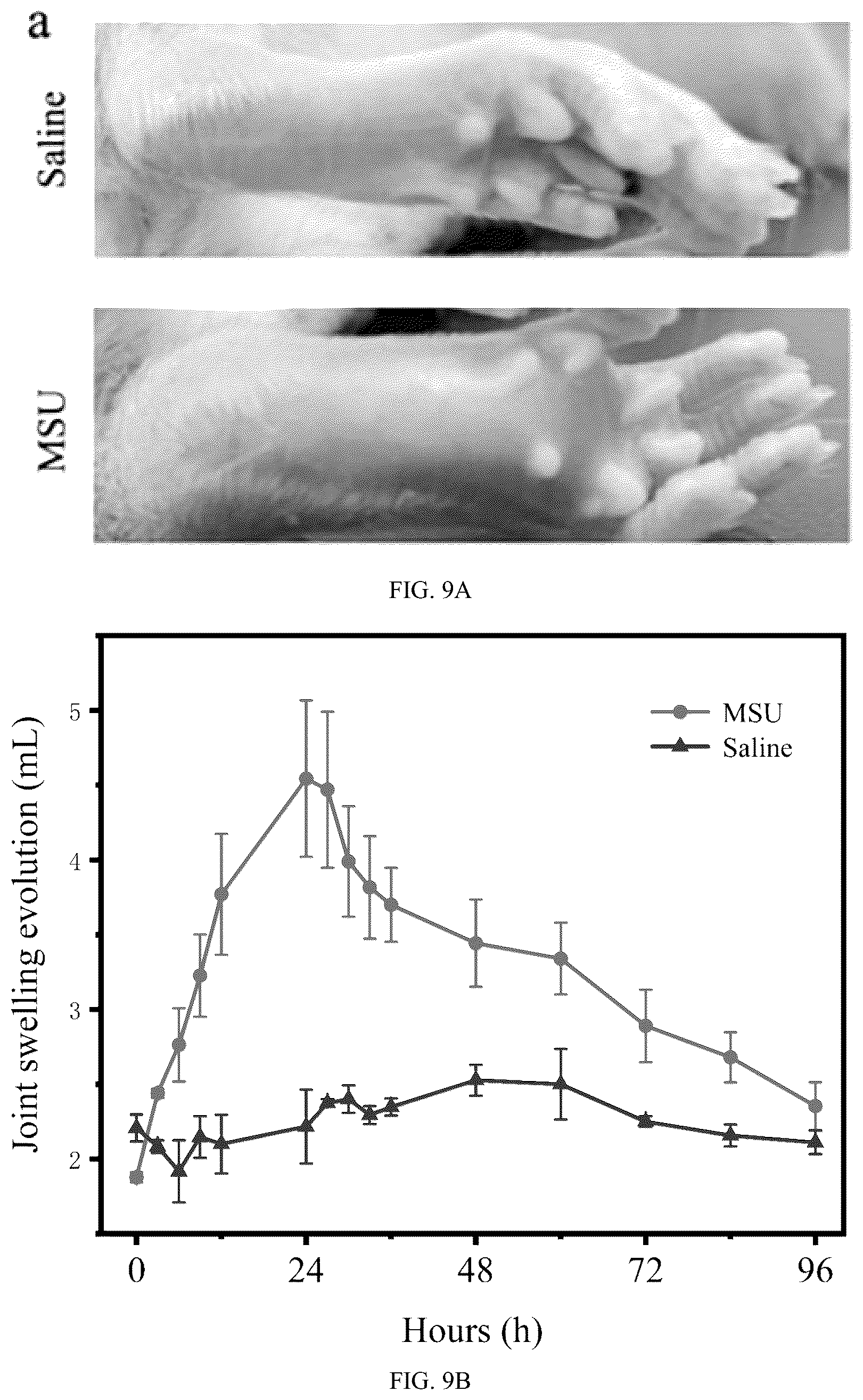 Patent US12303660 Figure 16 – Colchicine hydrogel microneedle and preparation method thereof